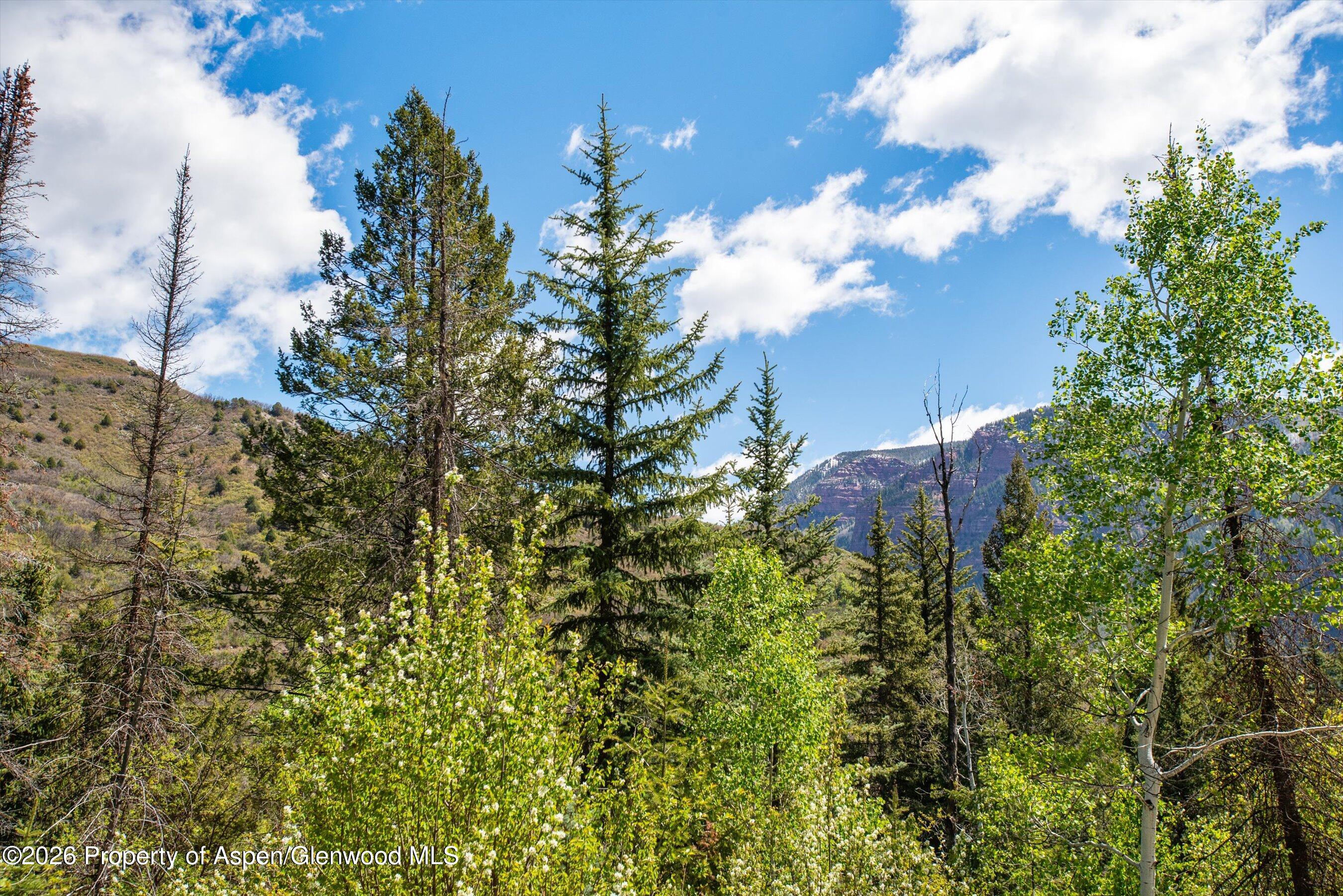 Tbd Coal Creek Road Property Photo 3