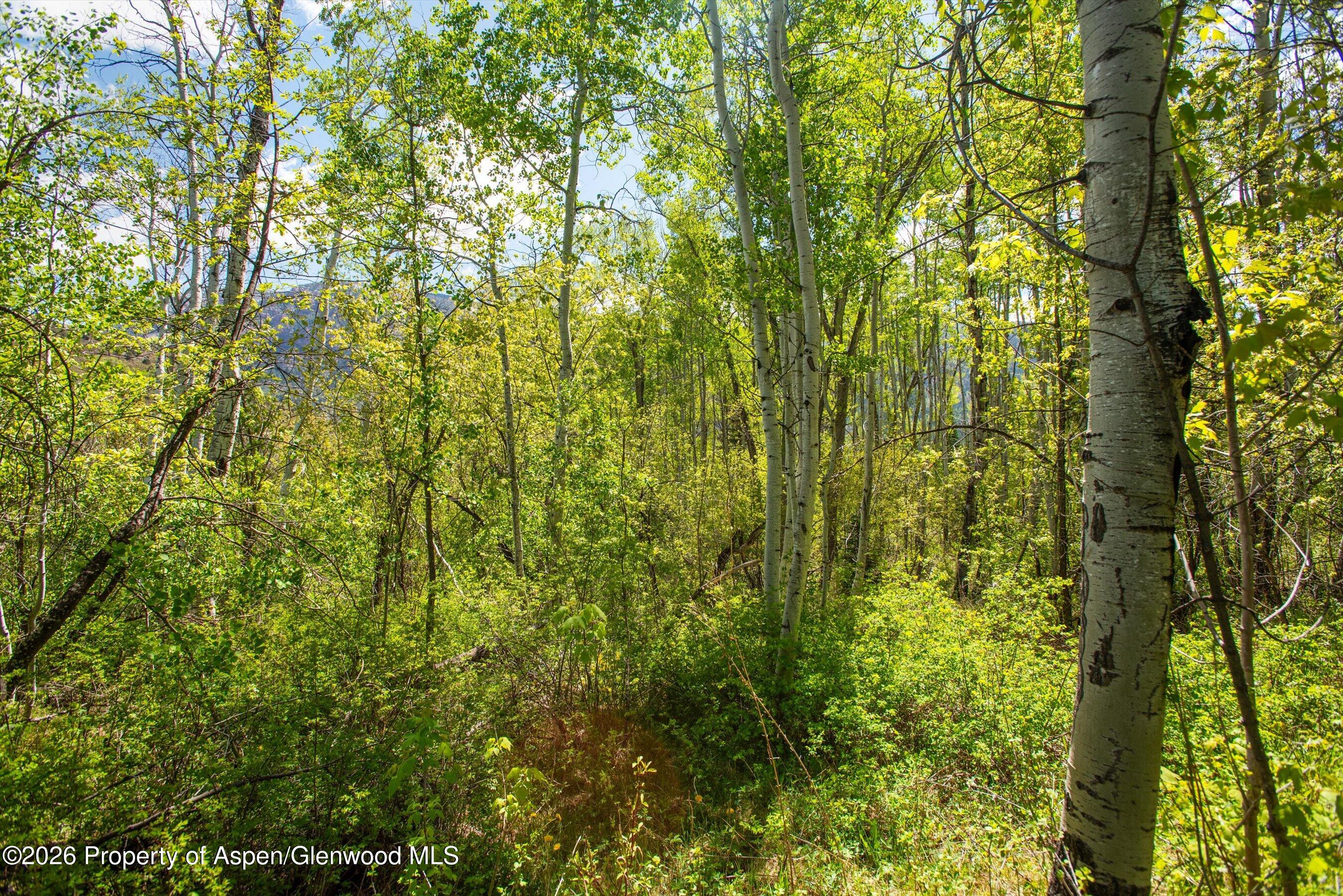 Tbd Coal Creek Road Property Photo 4