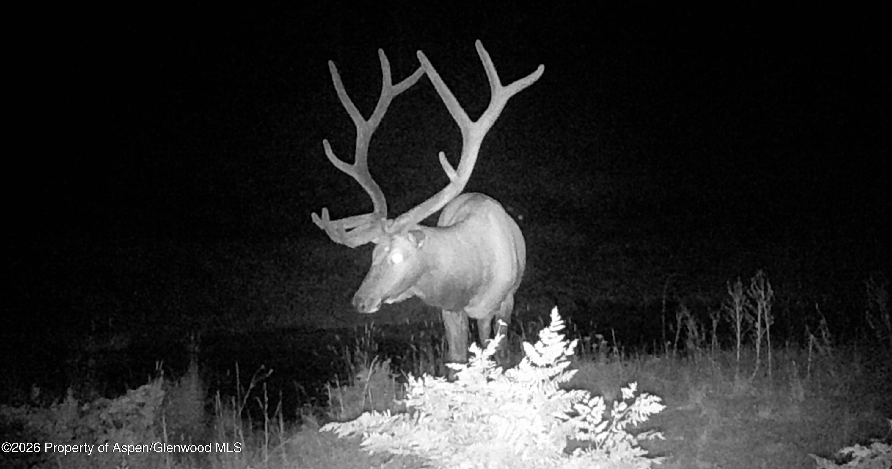 Tbd Ms Road Property Photo 15