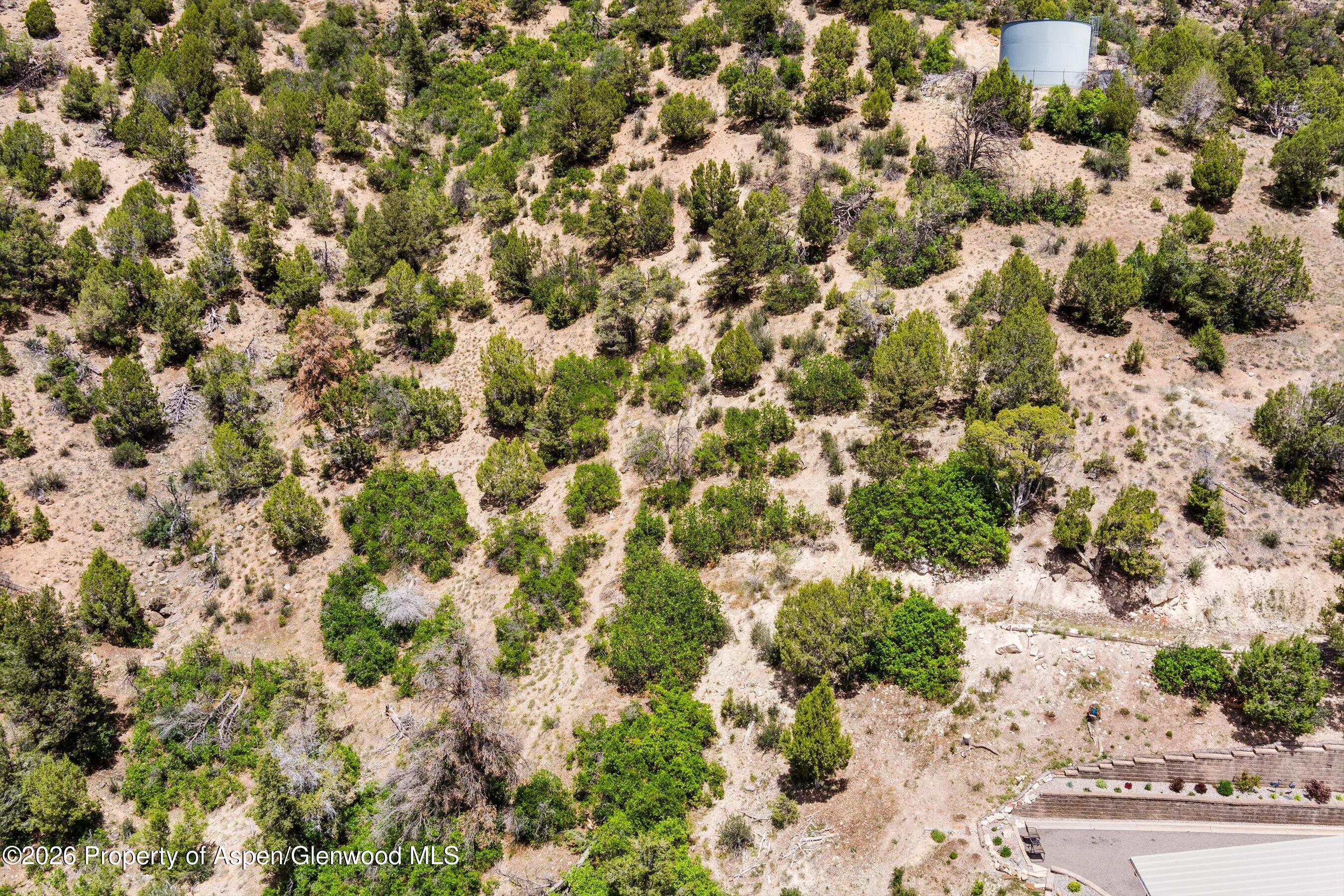 718 Silver Oak Drive Property Photo 8