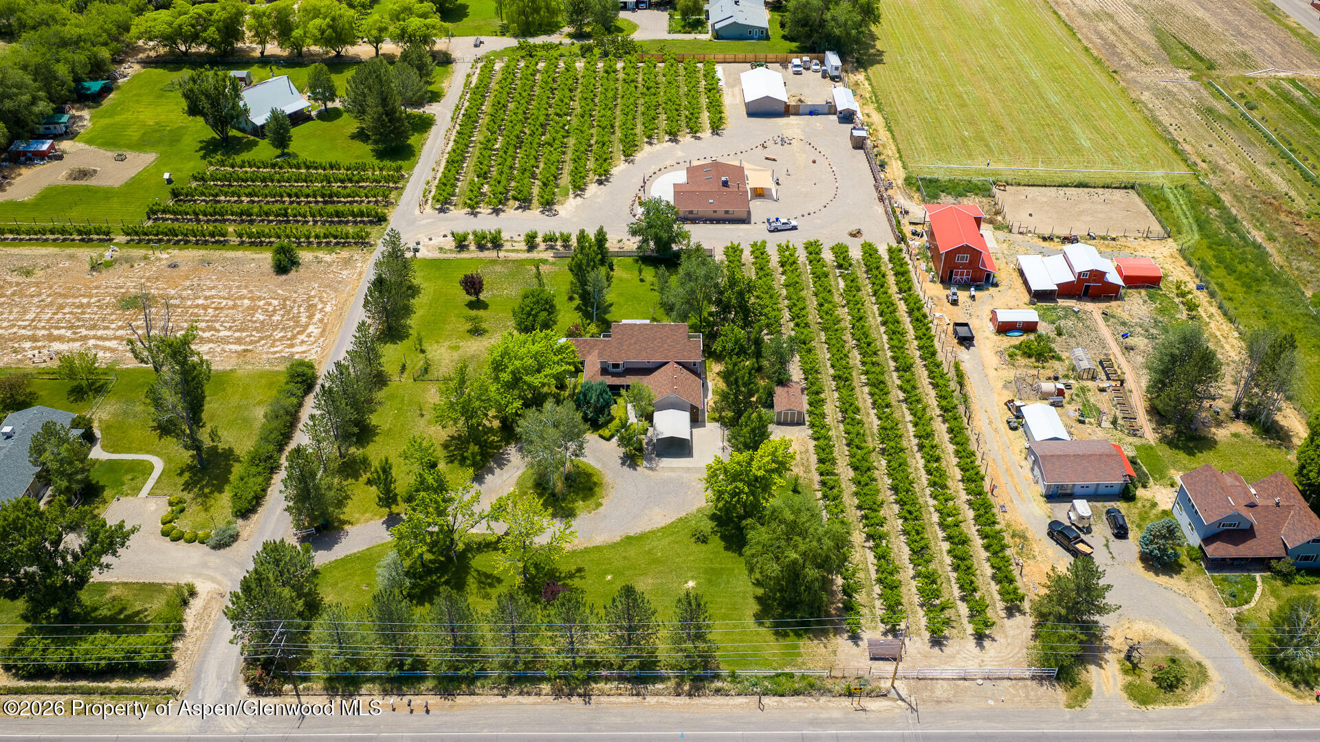 3609 G Road Property Photo 48