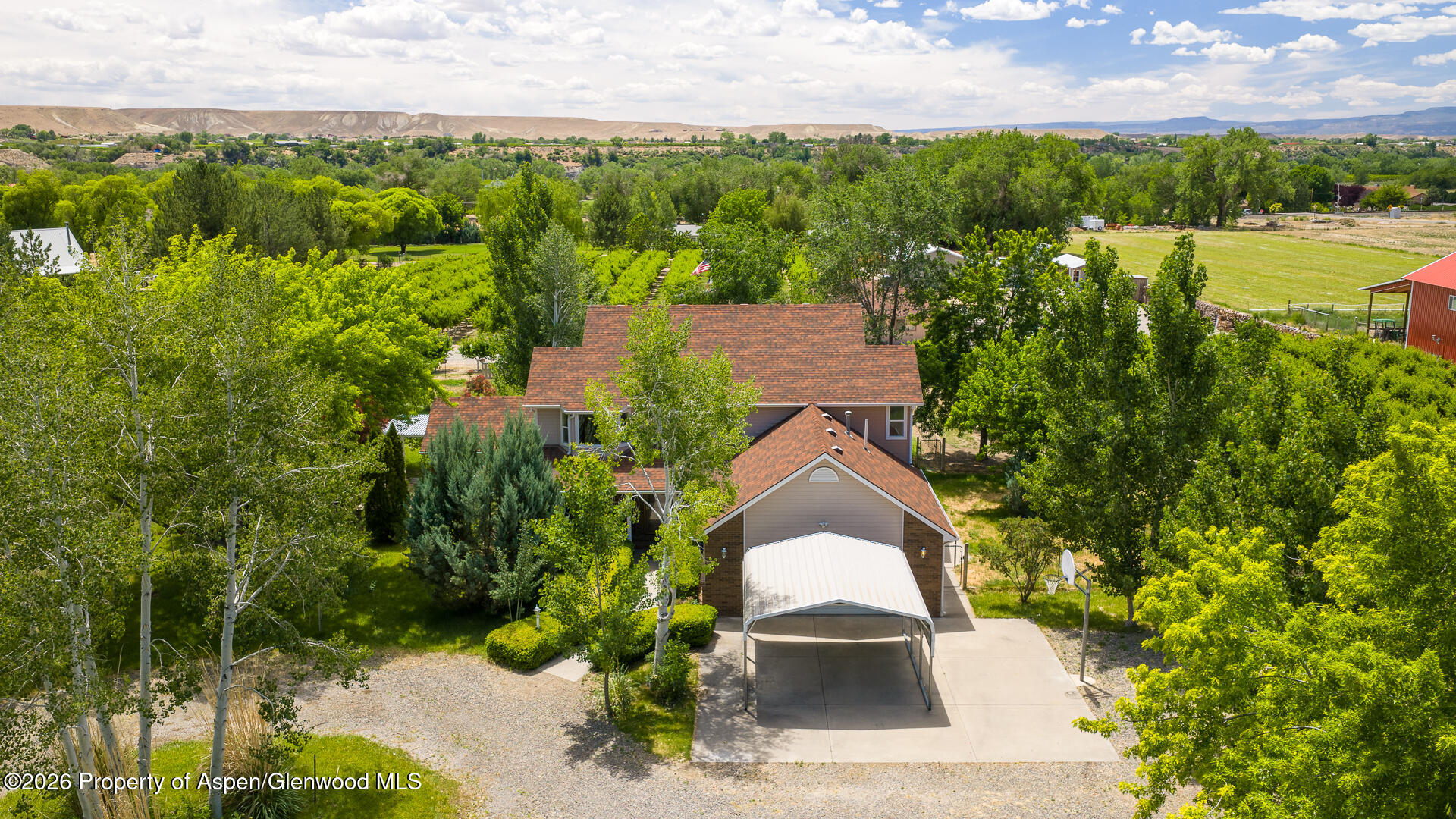 3609 G Road Property Photo 55