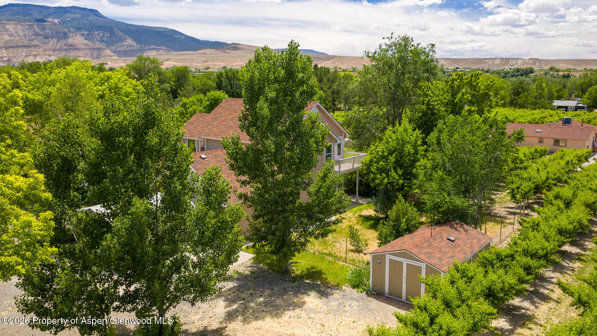 3609 G Road Property Photo 61