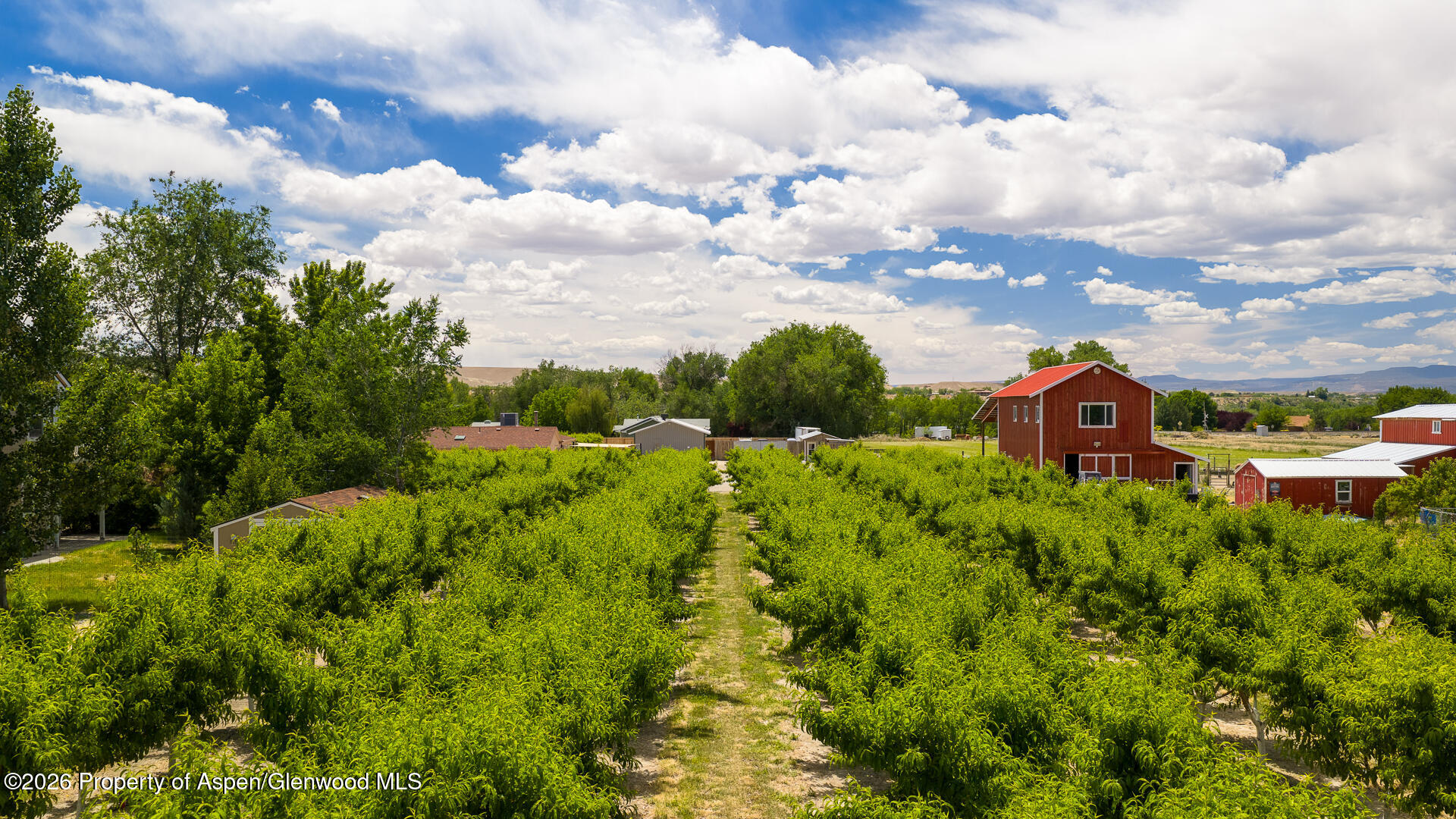 3609 G Road Property Photo 62
