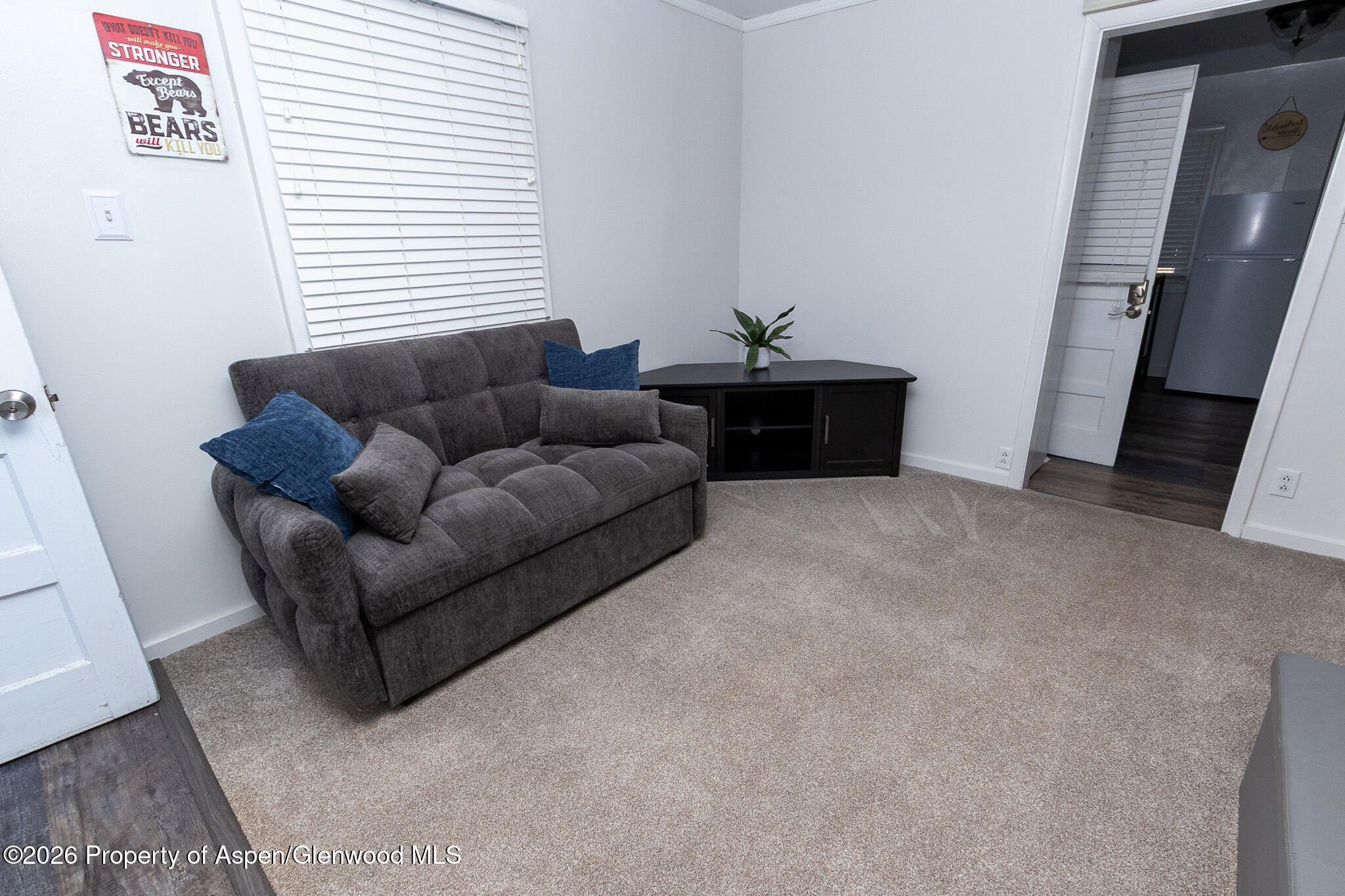 112 Main Street Property Photo 59