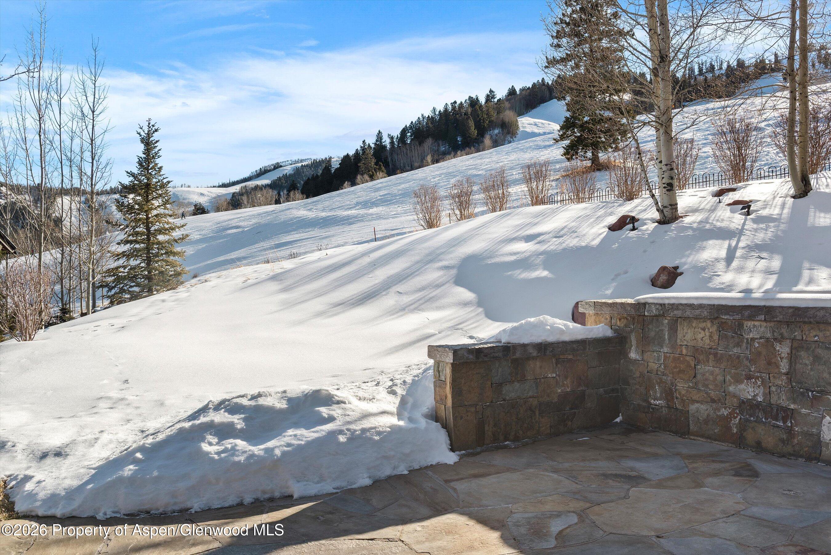15 S Willow Court Property Photo 60
