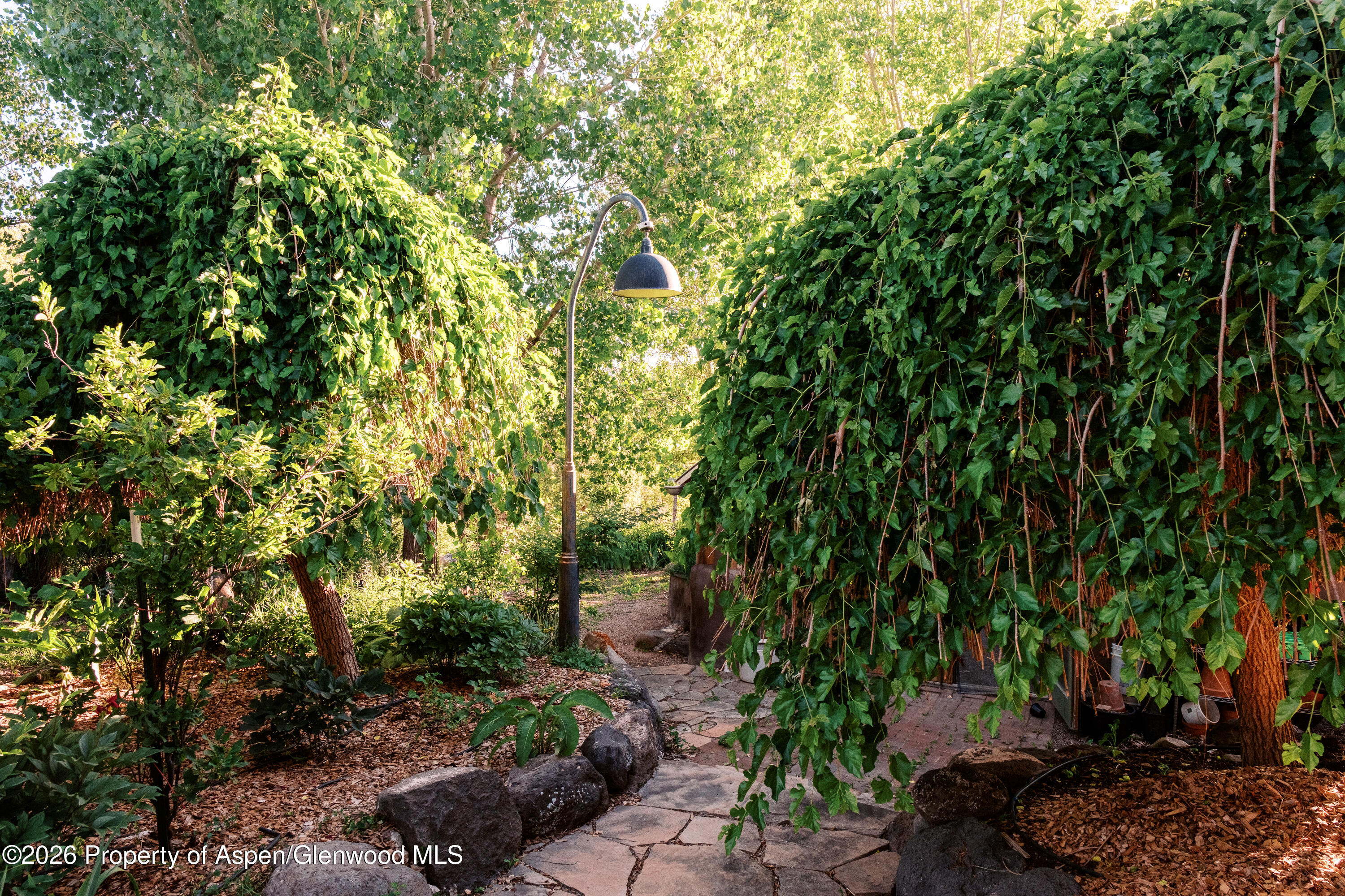 193307 Property Photo 65
