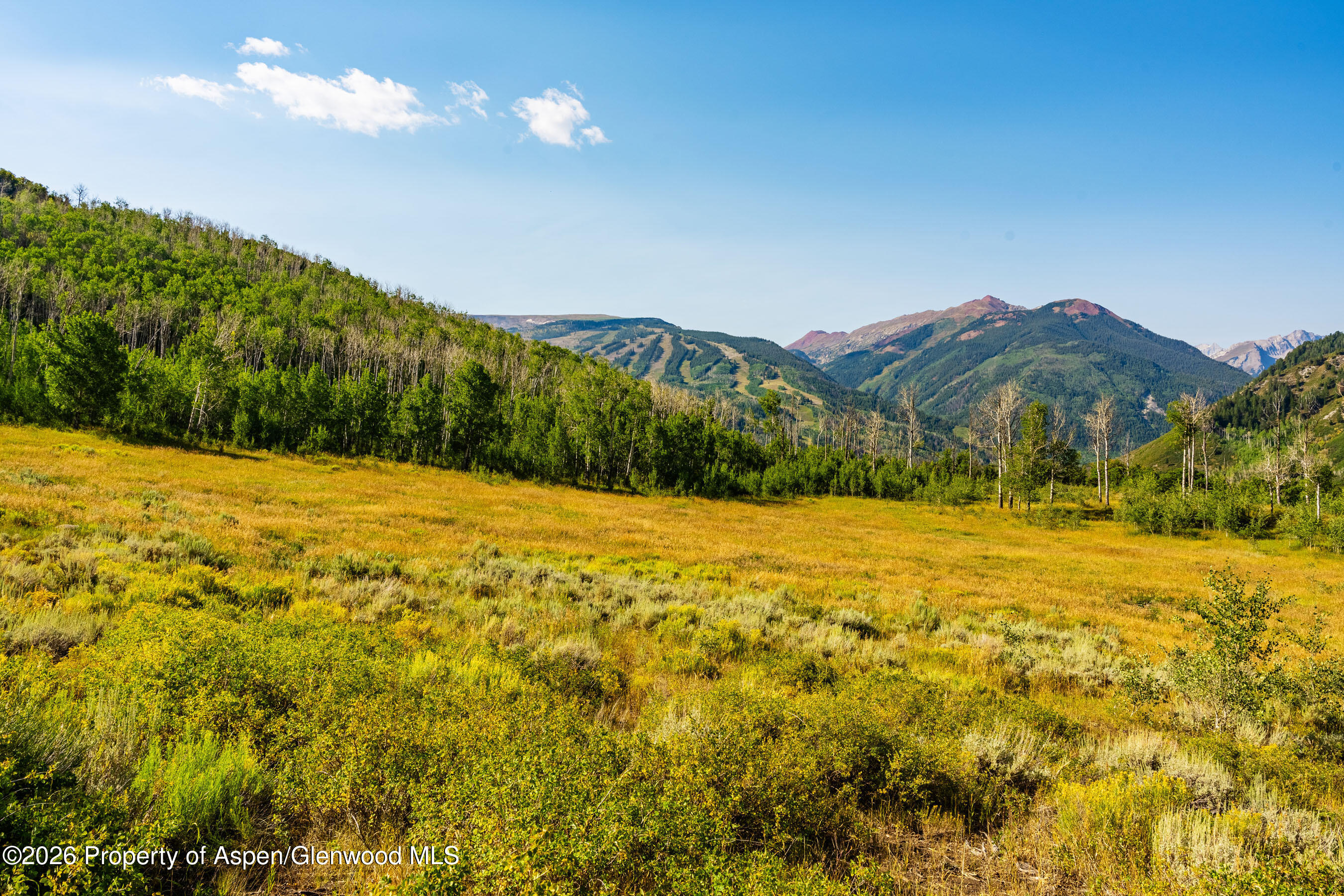 8500 & Tbd Snowmass Creek Road Property Photo 7