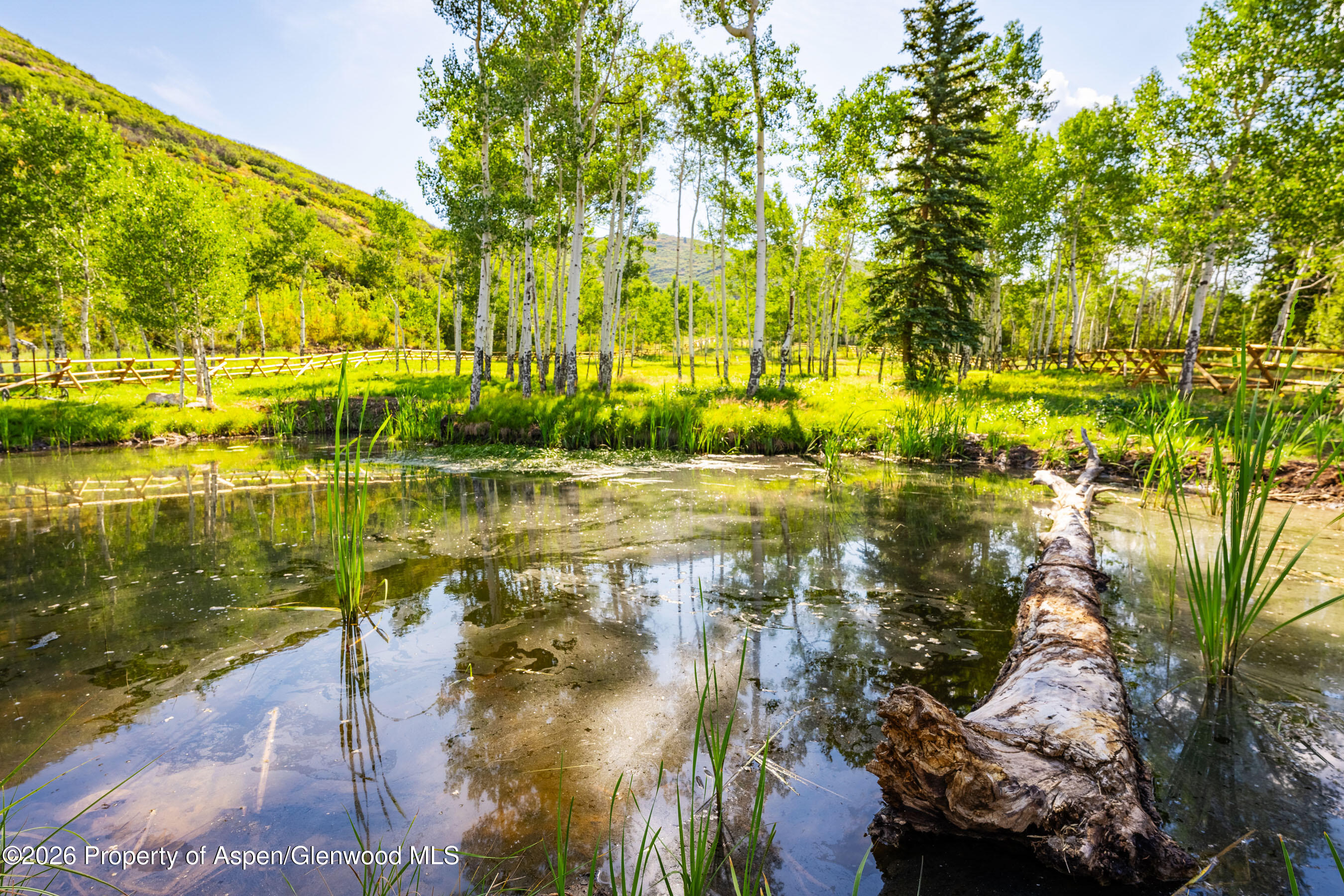 8500 & Tbd Snowmass Creek Road Property Photo 9