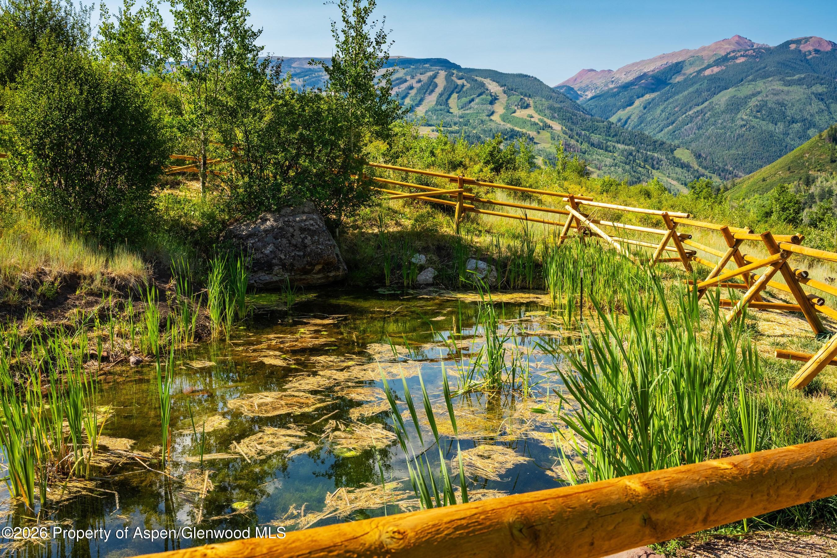 8500 & Tbd Snowmass Creek Road Property Photo 10