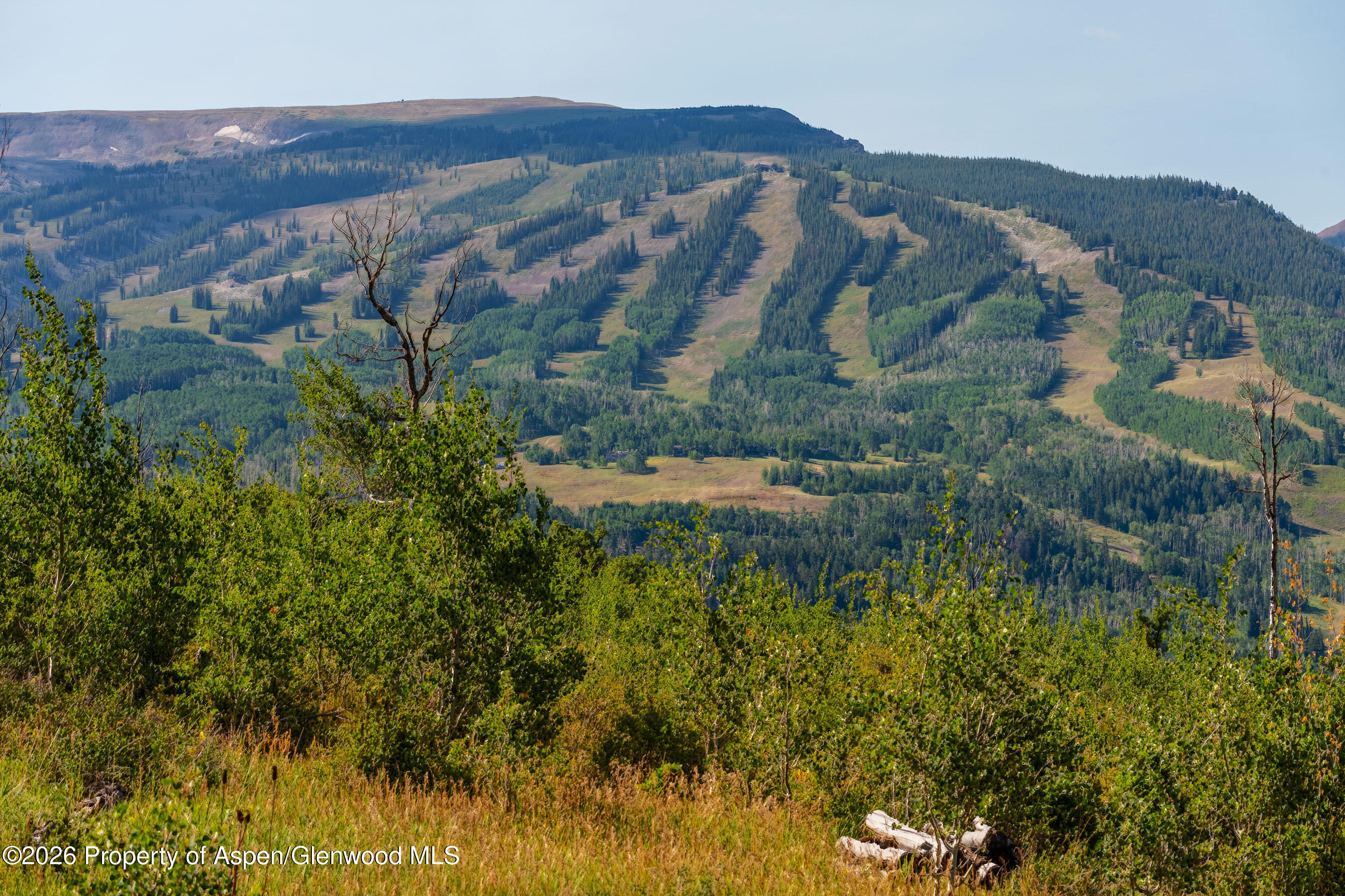 8500 & Tbd Snowmass Creek Road Property Photo 16