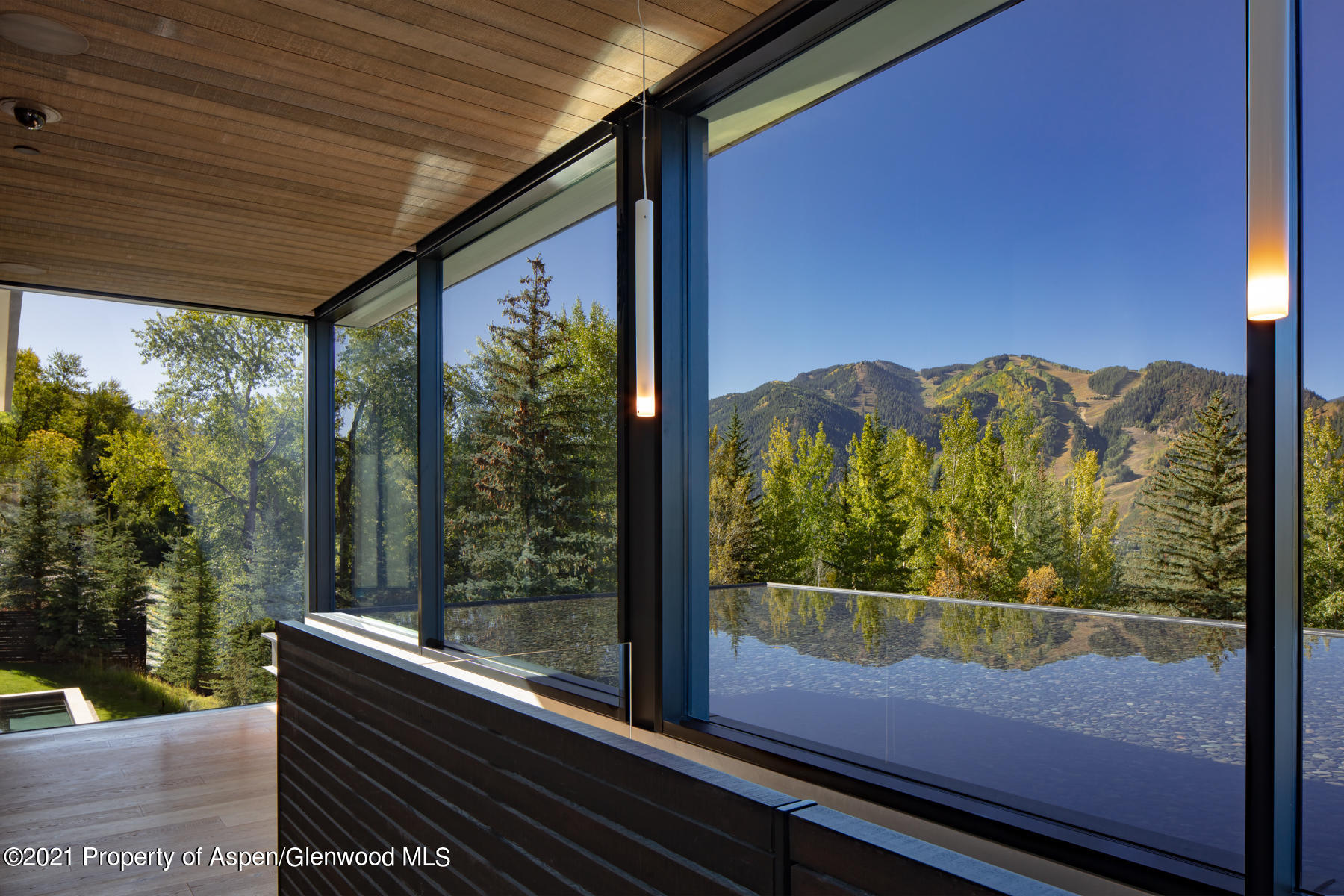 979 Red Mountain Road Property Photo 4