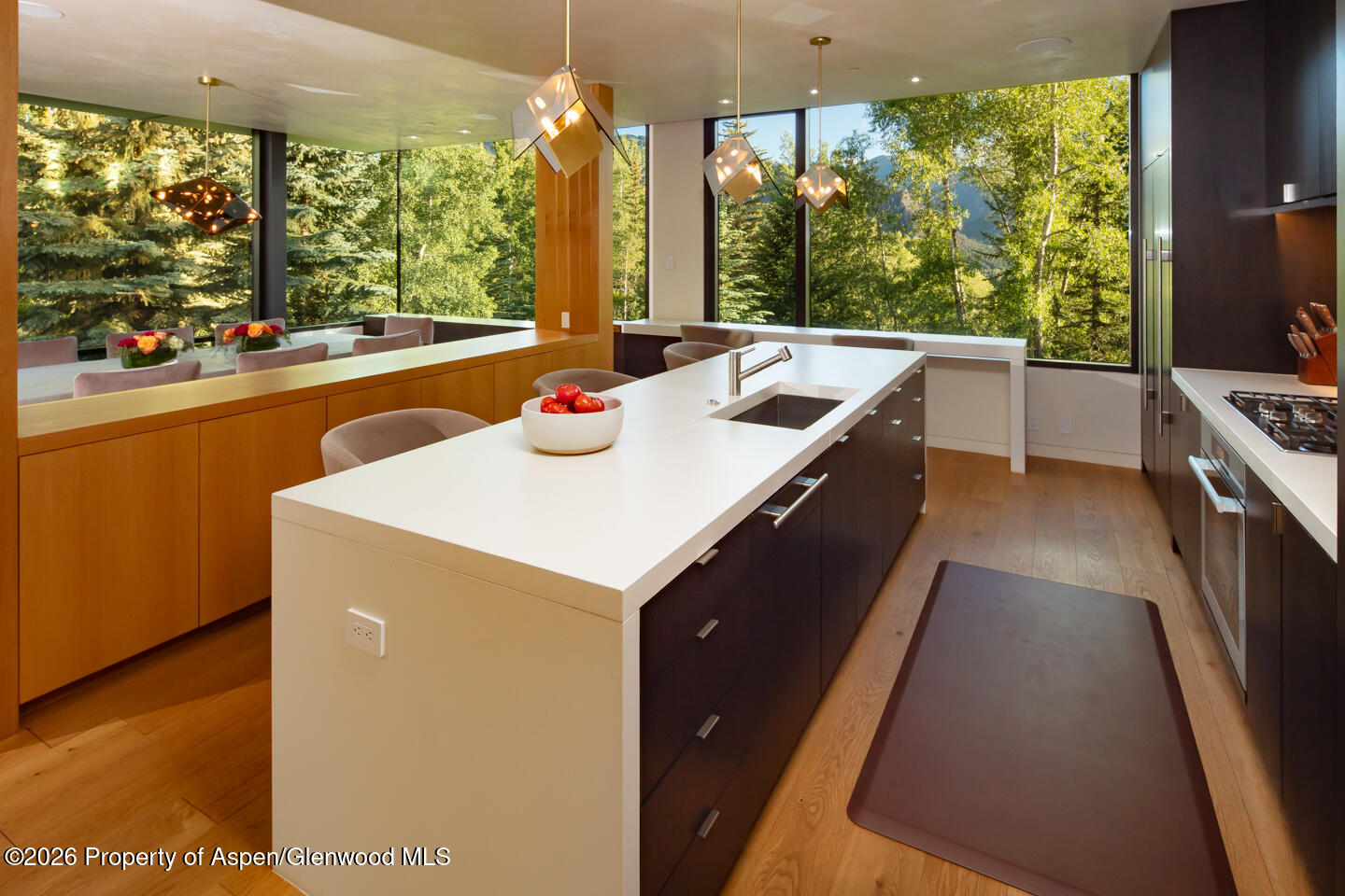 979 Red Mountain Road Property Photo 10
