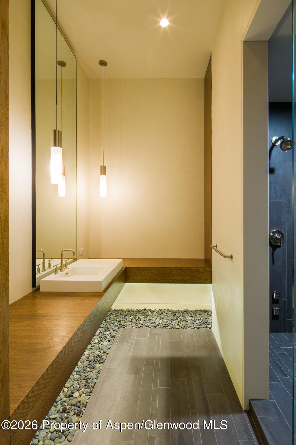 979 Red Mountain Road Property Photo 17