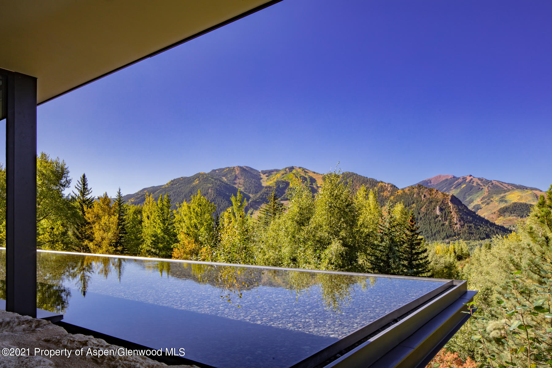 979 Red Mountain Road Property Photo 20