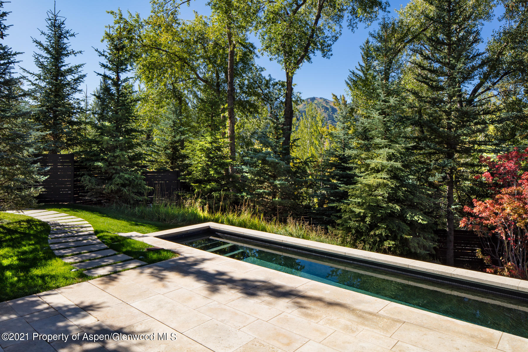 979 Red Mountain Road Property Photo 25