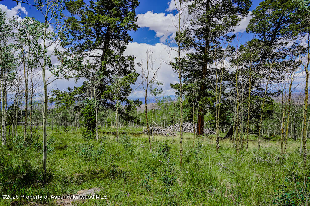 Tbd 1tt Road Property Photo 34