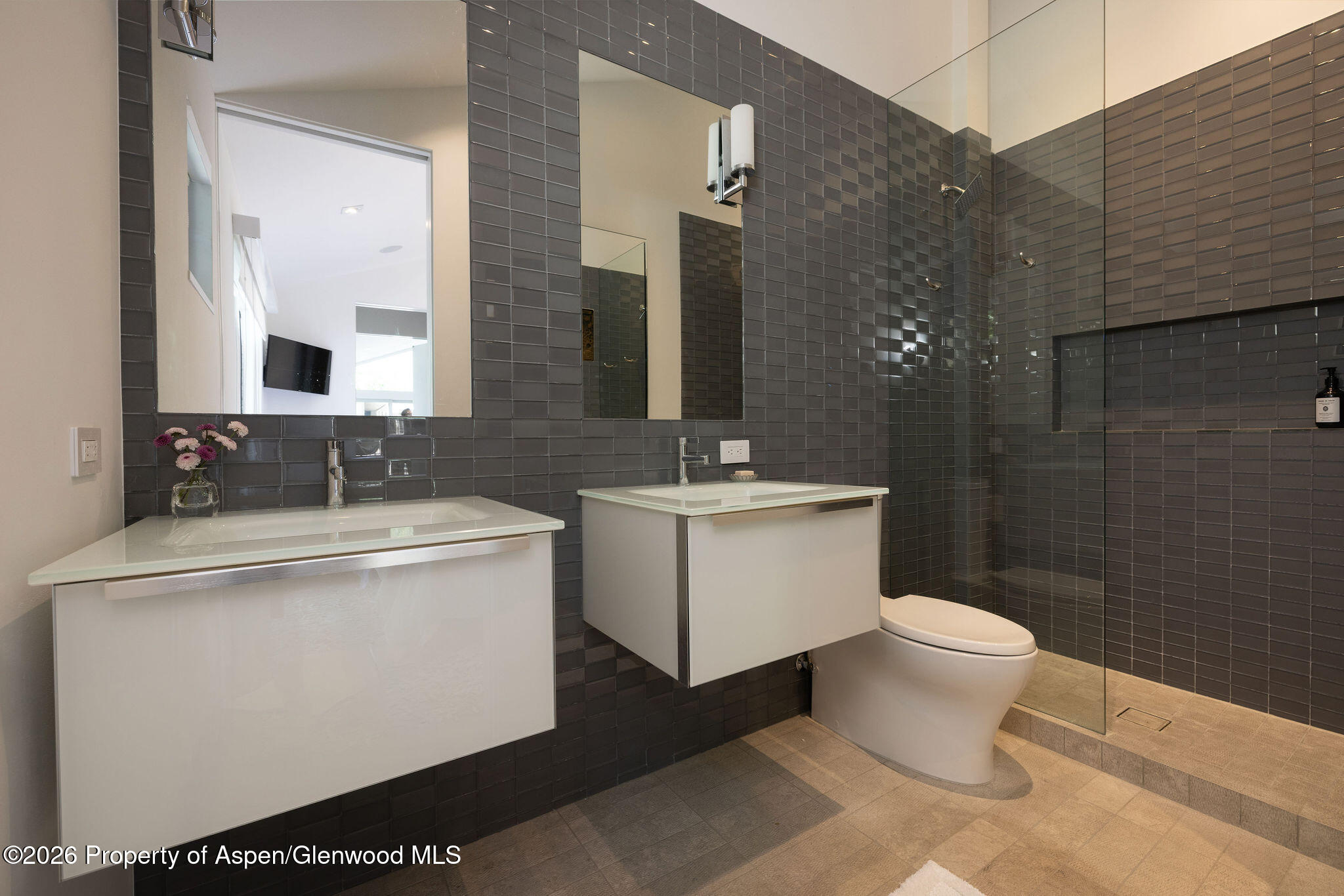 950 E Durant Avenue 4 Property Photo 21
