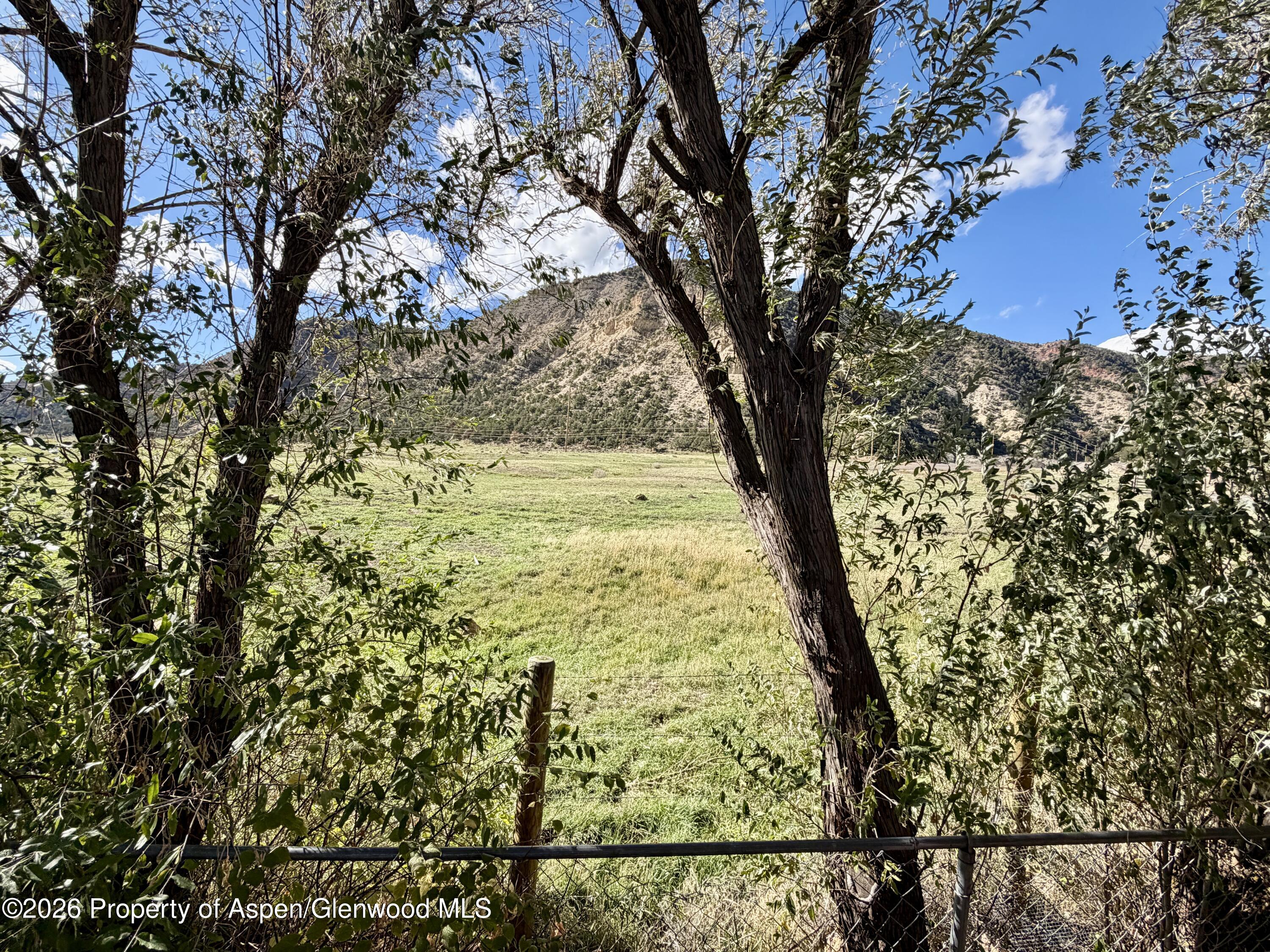 1276 Hill Street Property Photo 25