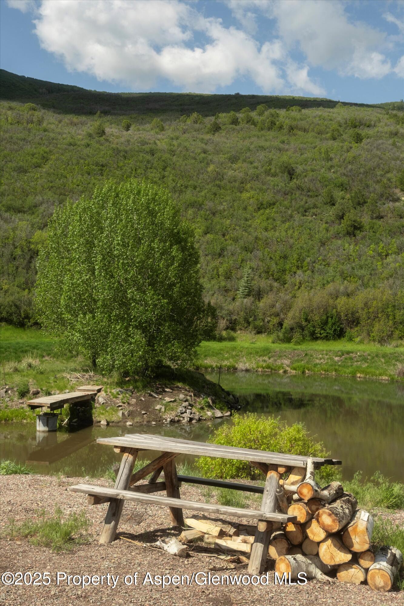 3691 E Sopris Creek Road Property Photo 8