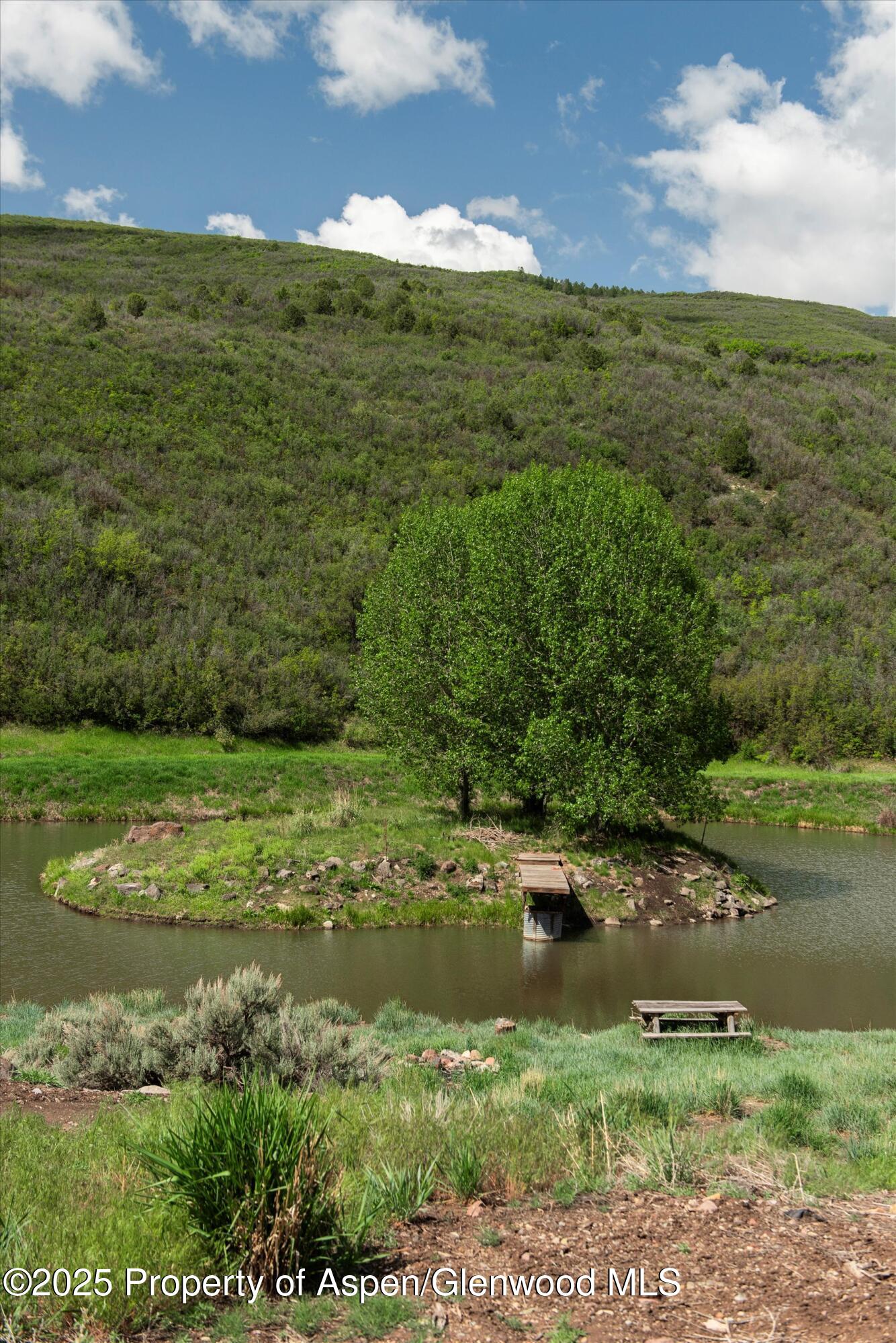 3691 E Sopris Creek Road Property Photo 9