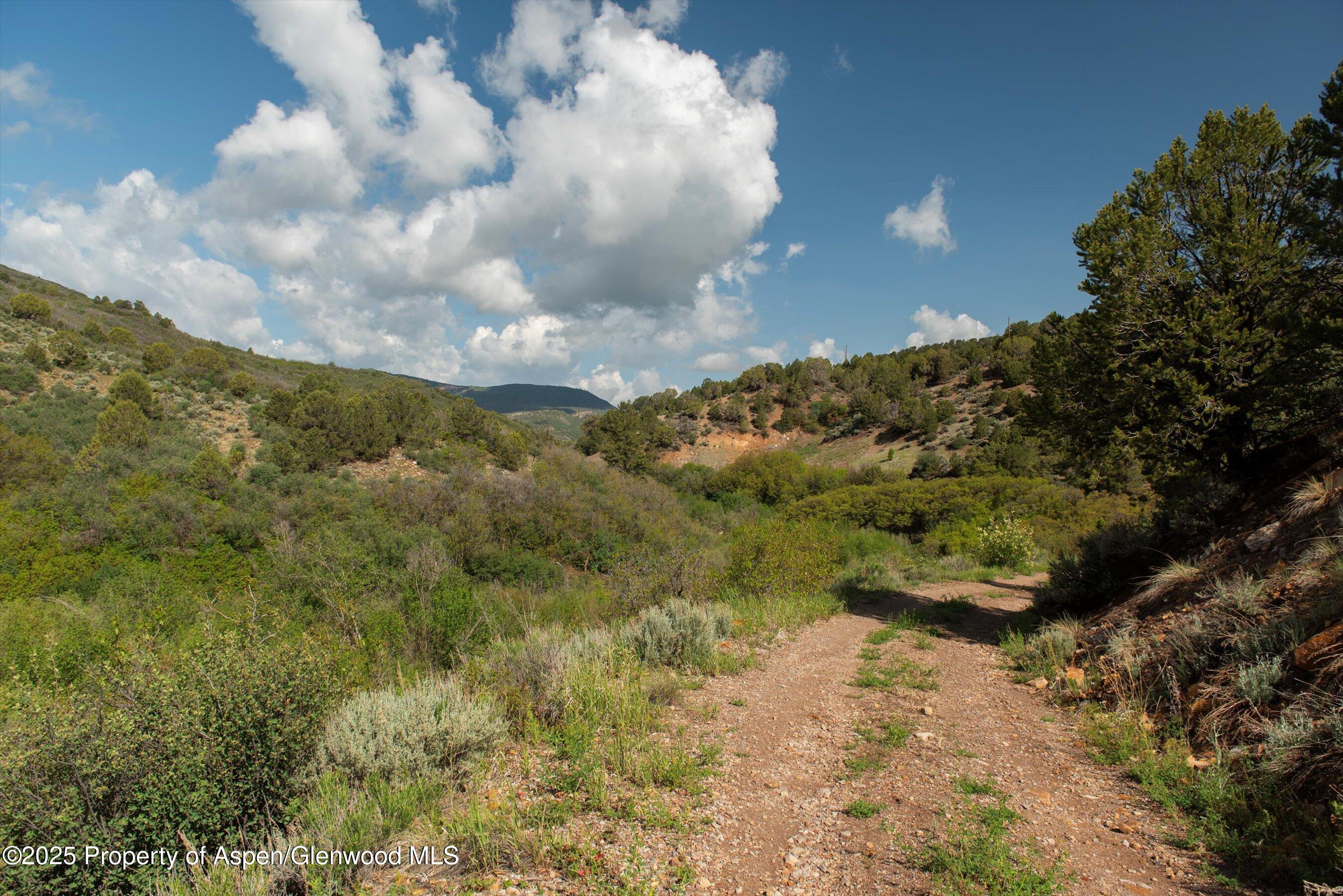 3691 E Sopris Creek Road Property Photo 12