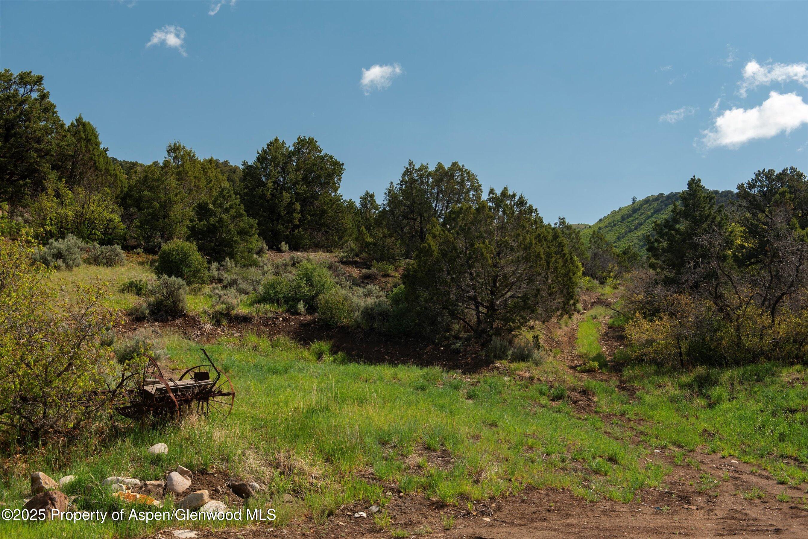 3691 E Sopris Creek Road Property Photo 13
