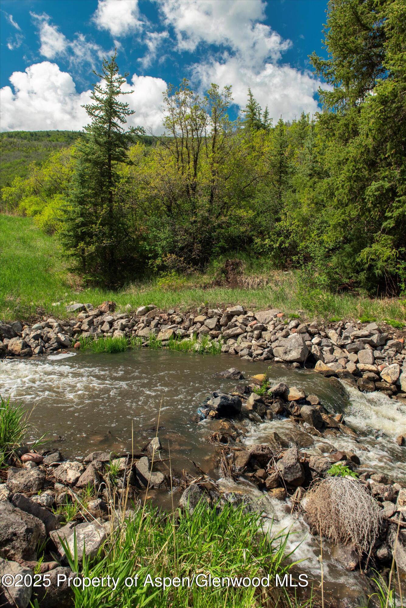 3691 E Sopris Creek Road Property Photo 16