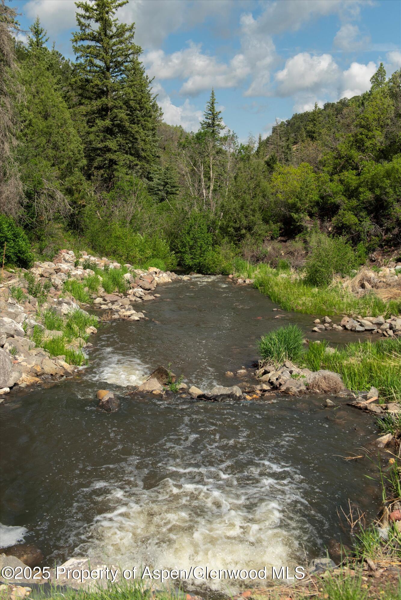 3691 E Sopris Creek Road Property Photo 18