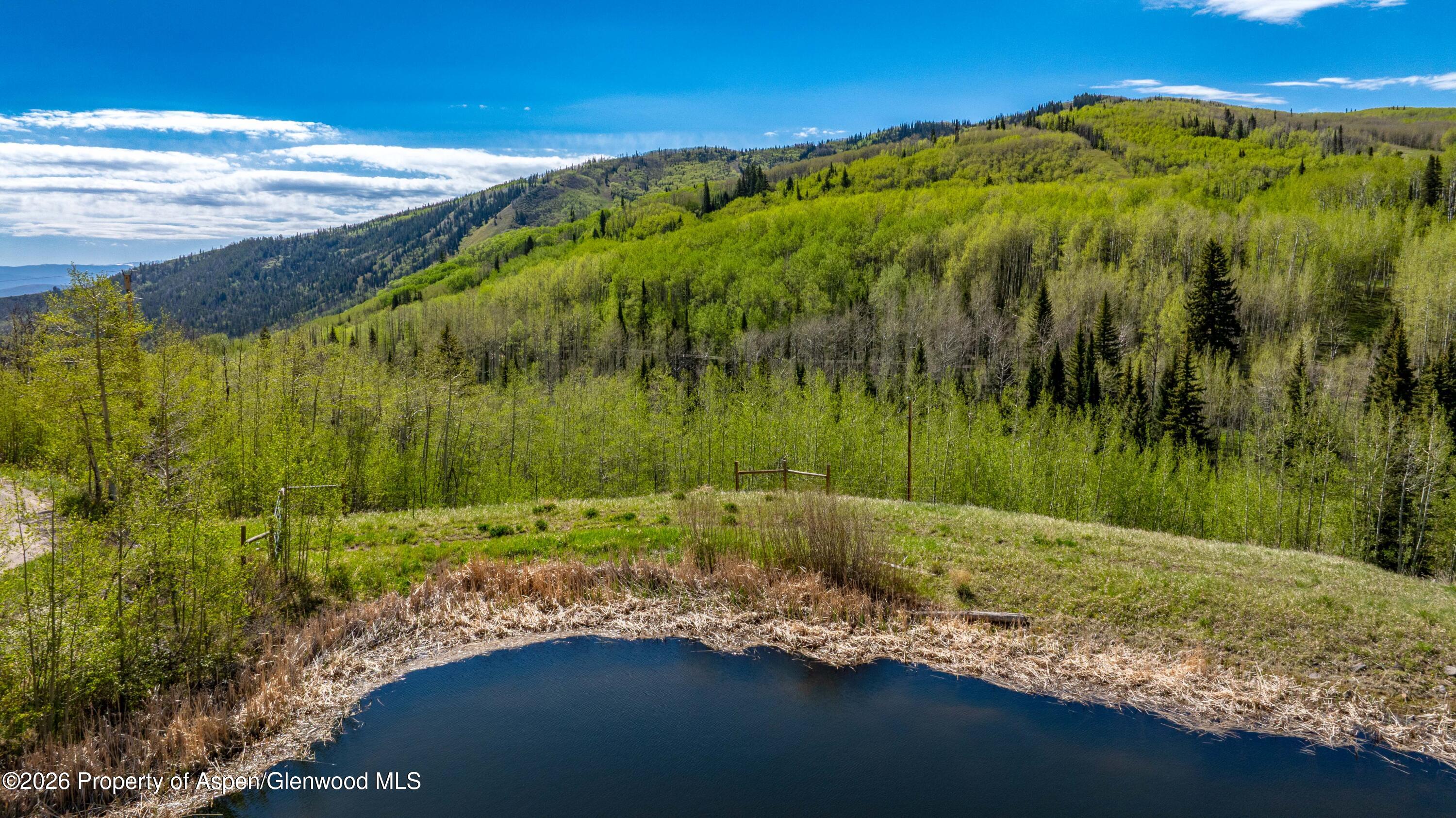 Tbd Forest Service Road 300 Pond Property Photo