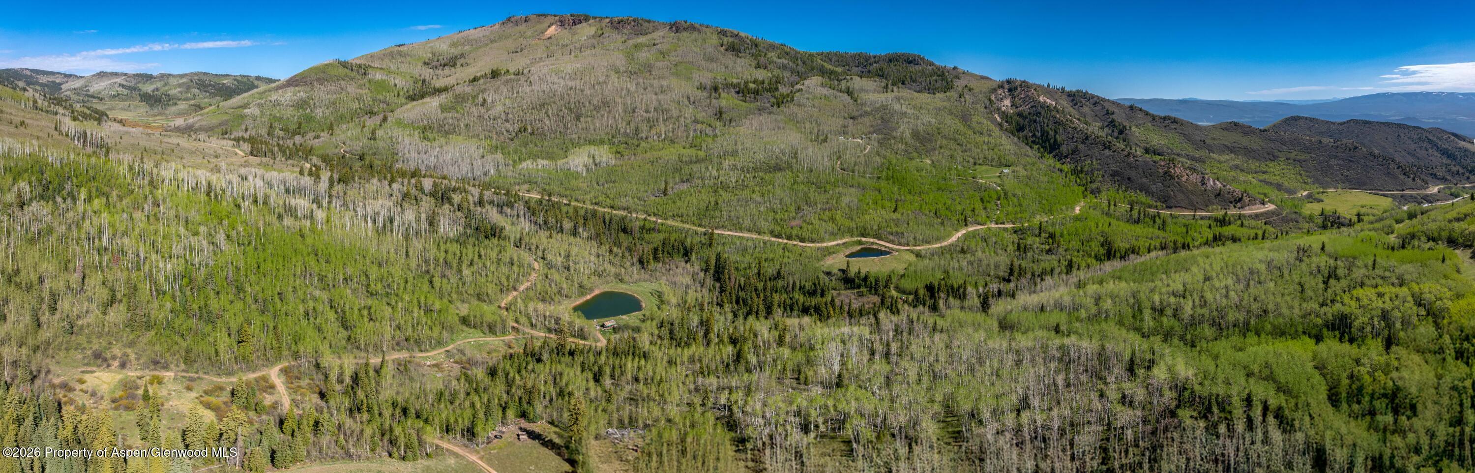 Tbd Forest Service Road 300 Pond Property Photo 3