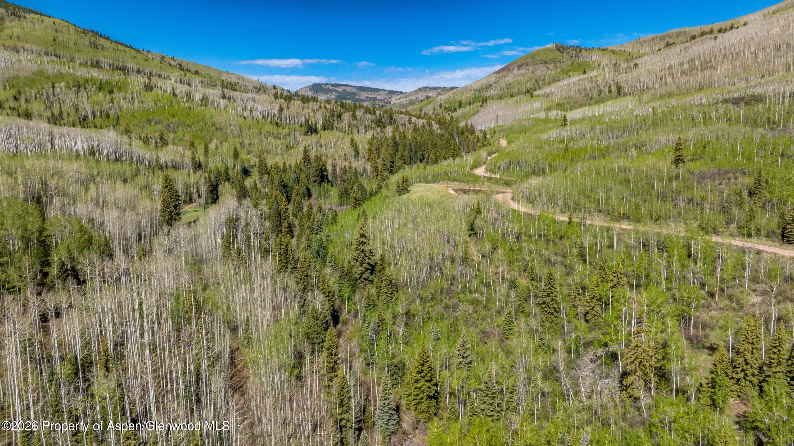 Tbd Forest Service Road 300 Pond Property Photo 4