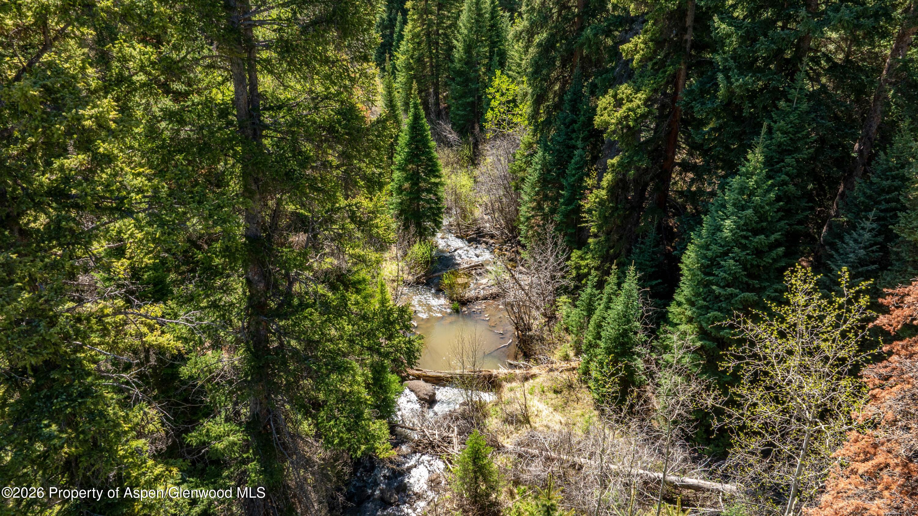 Tbd Forest Service Road 300 Pond Property Photo 5