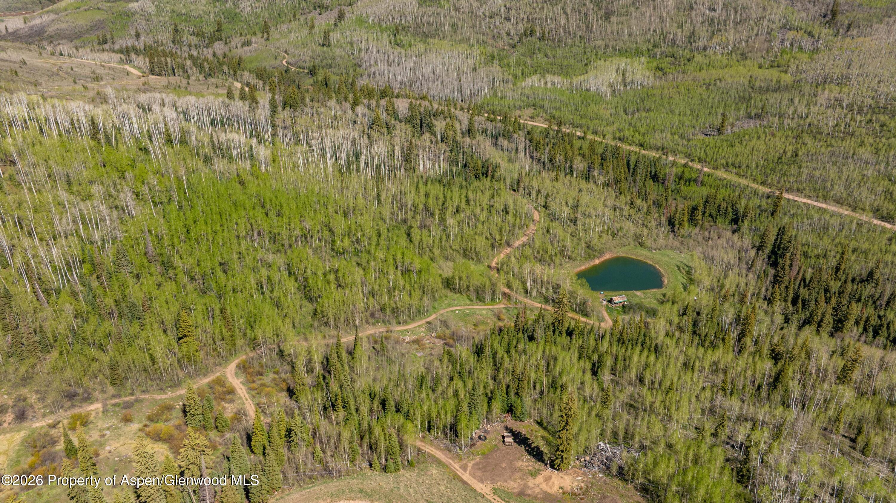 Tbd Forest Service Road 300 Pond Property Photo 7