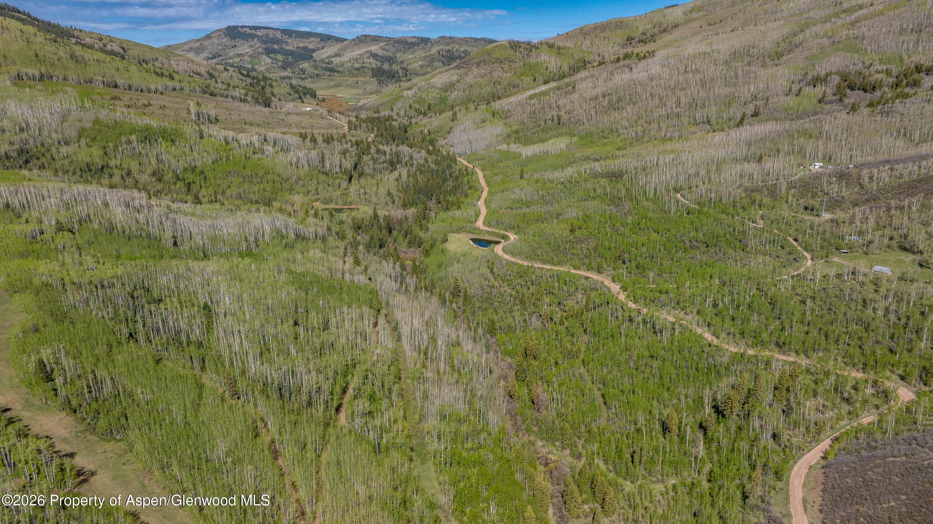 Tbd Forest Service Road 300 Pond Property Photo 8