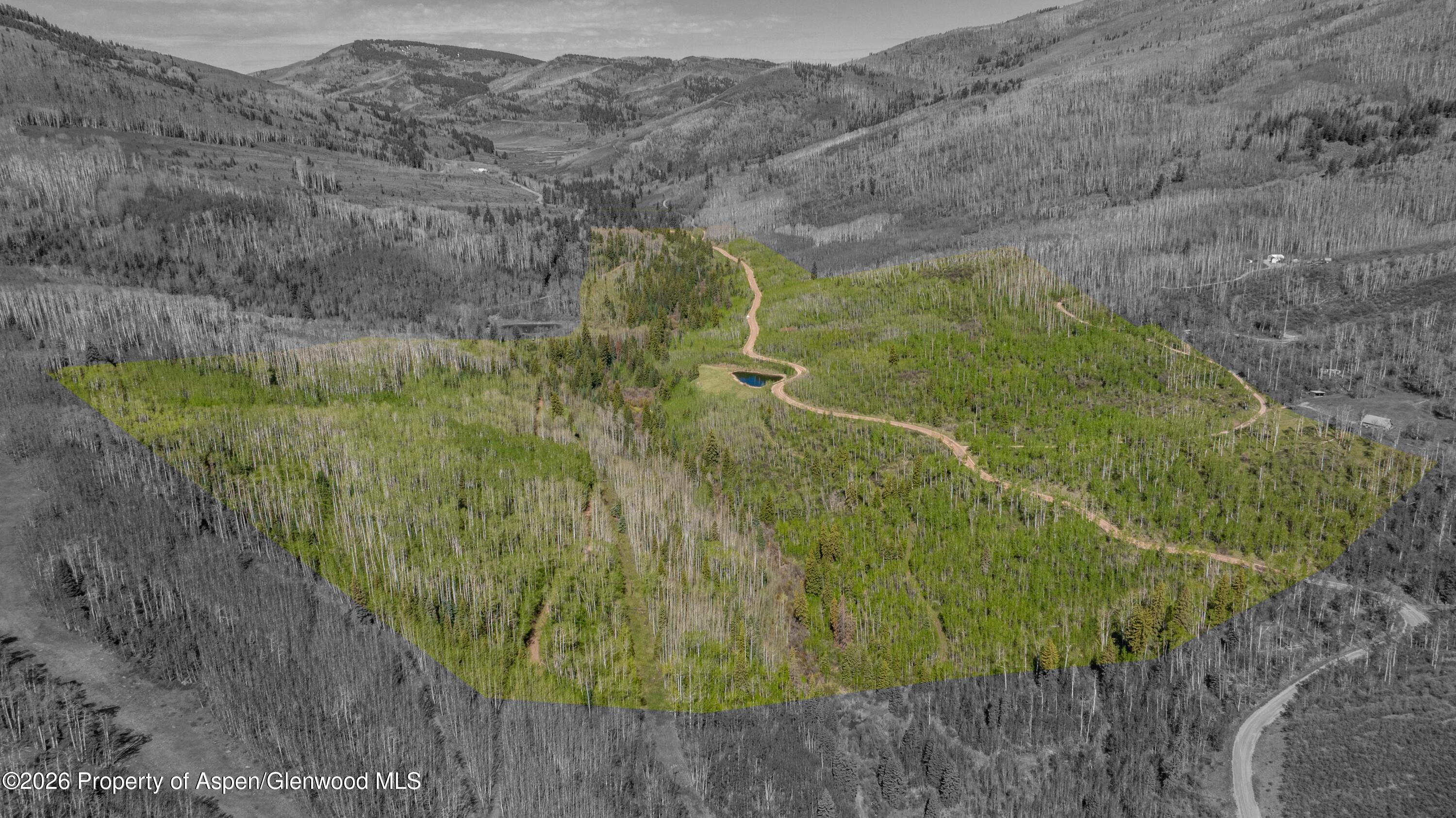 Tbd Forest Service Road 300 Pond Property Photo 9
