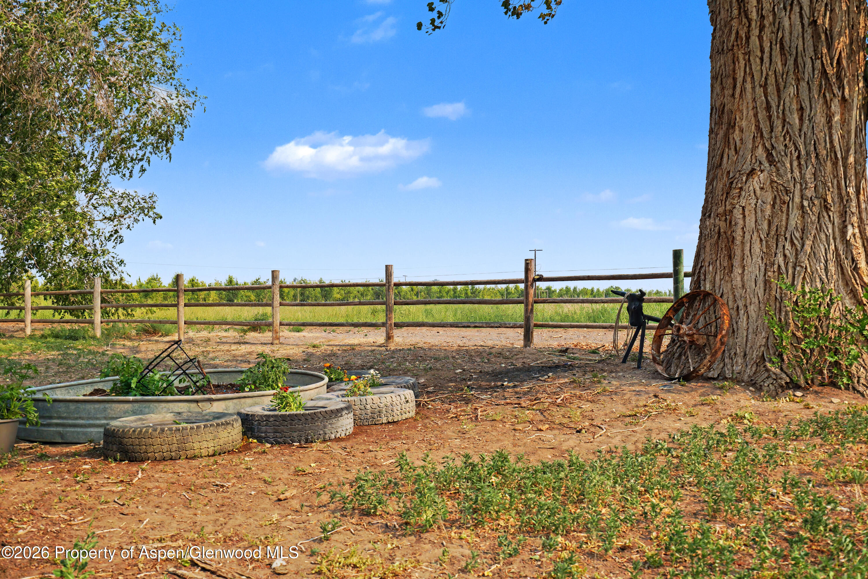 7531 High Mesa Road Property Photo 27