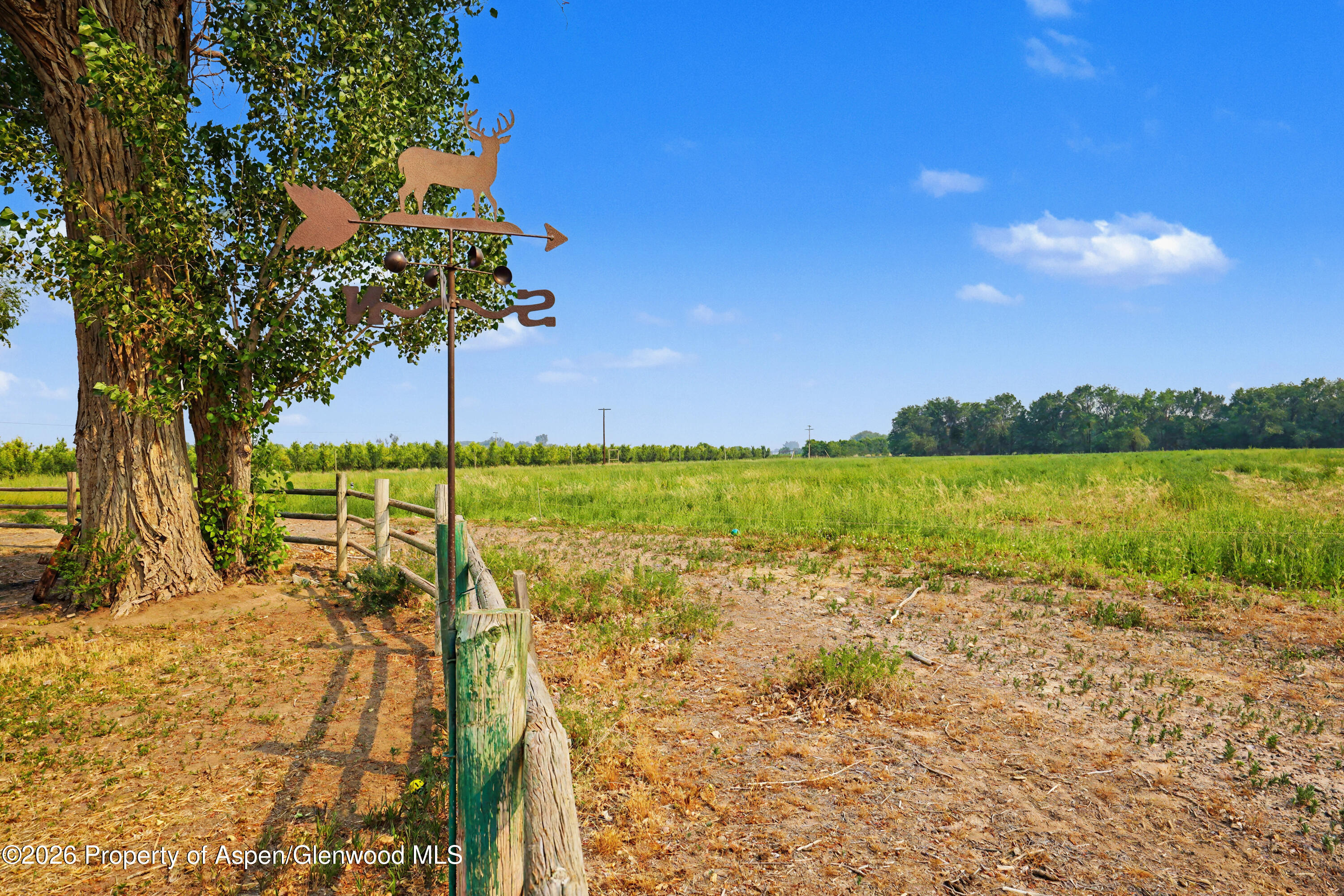 7531 High Mesa Road Property Photo 28
