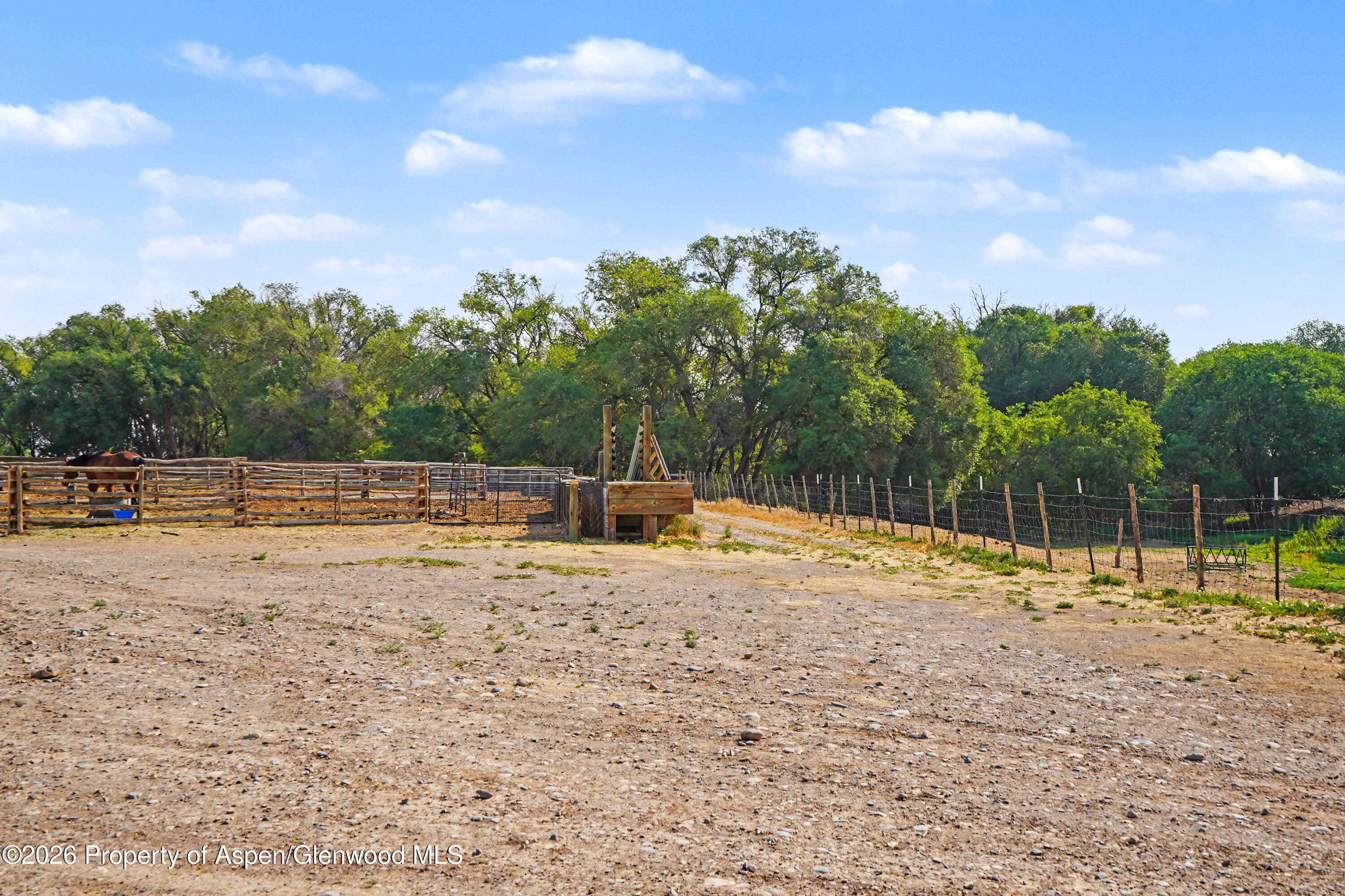 7531 High Mesa Road Property Photo 29