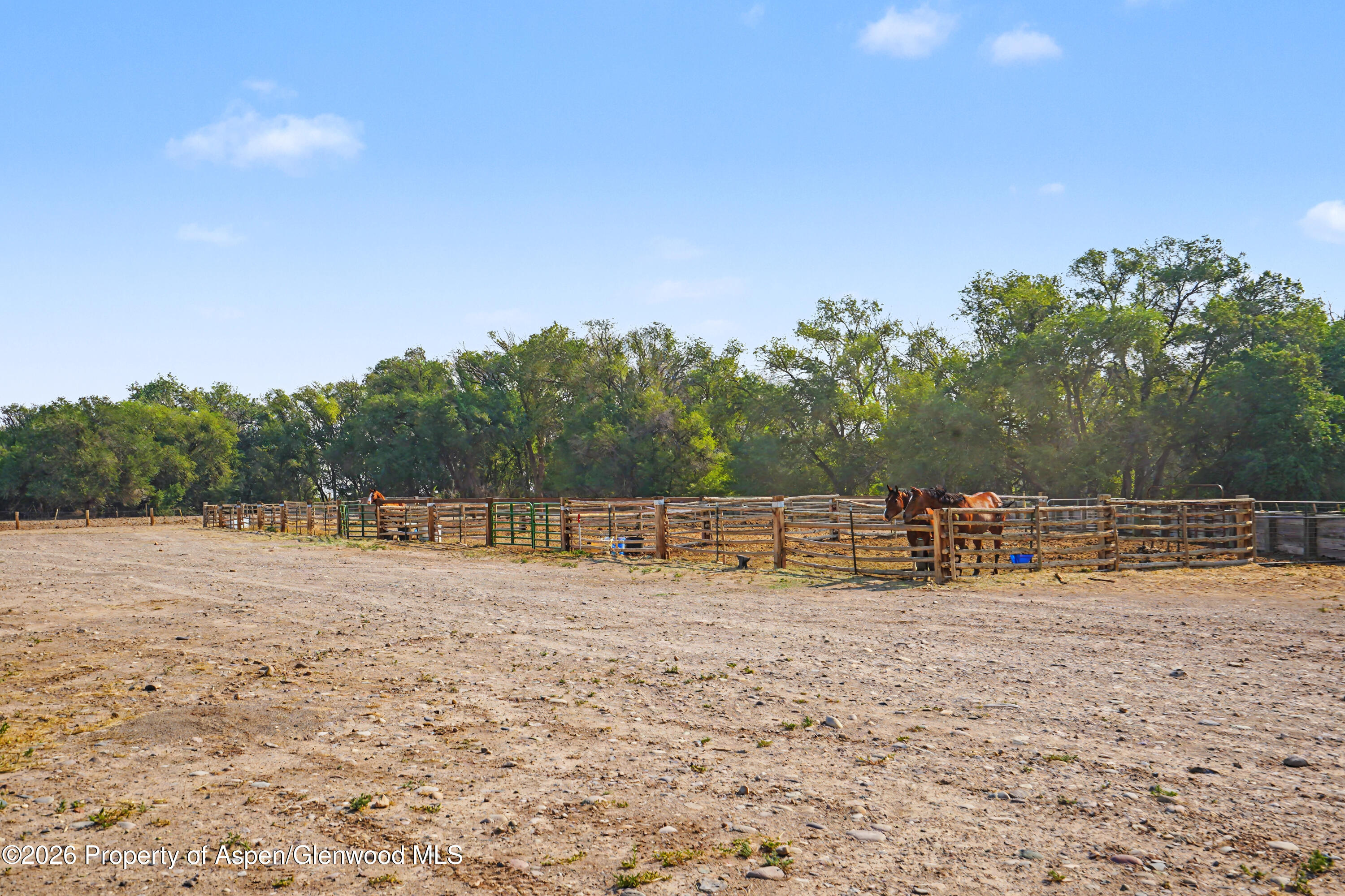 7531 High Mesa Road Property Photo 32