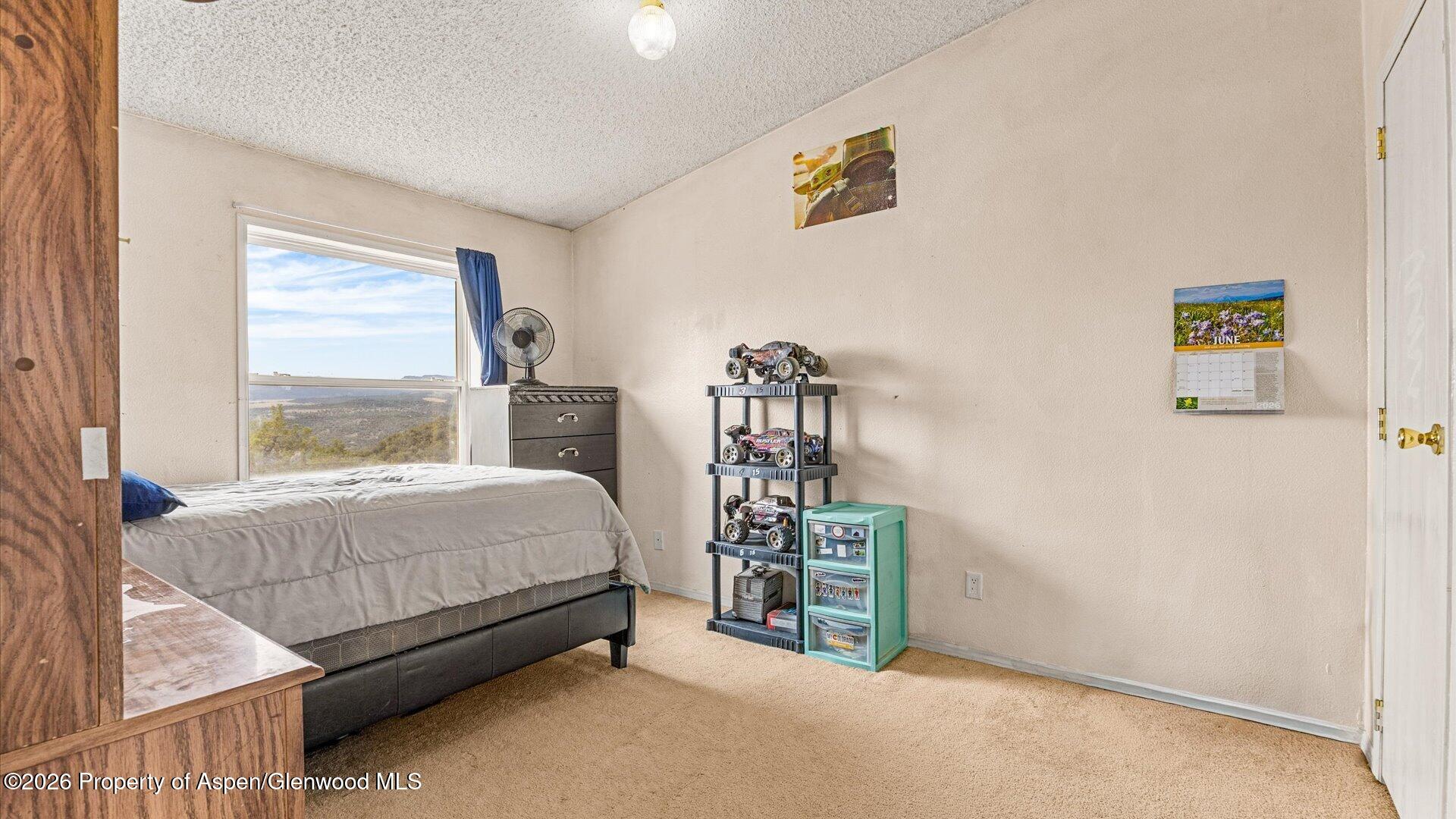 2055 Grass Mesa Road Property Photo 14