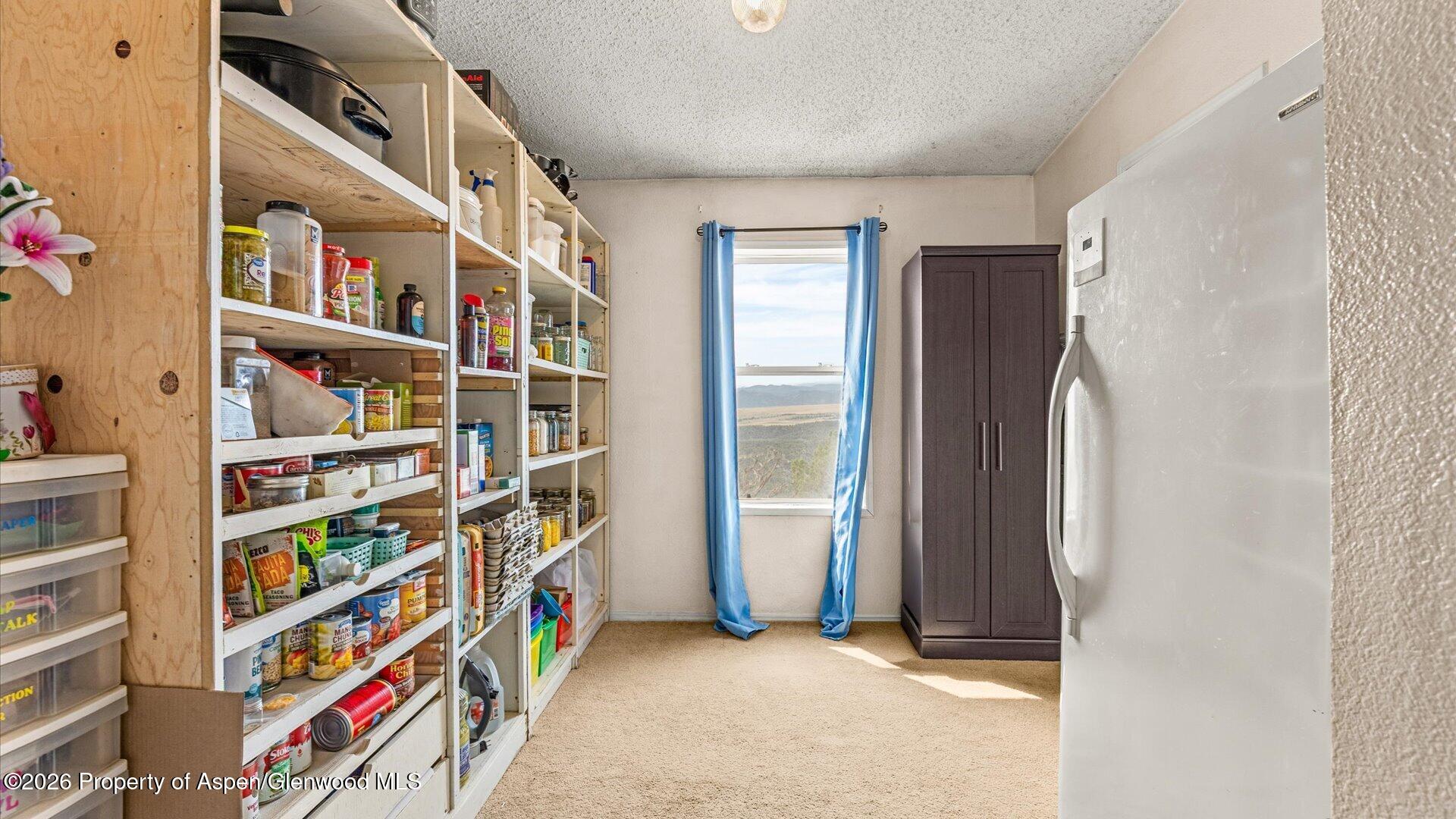 2055 Grass Mesa Road Property Photo 17