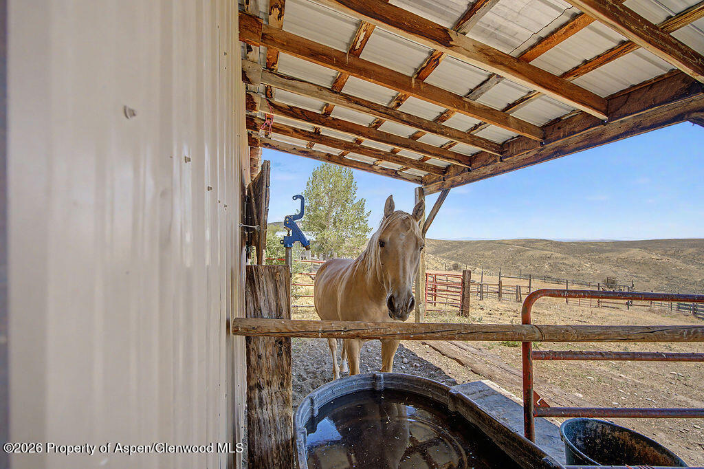 620 Ponderosa Pass Property Photo 60