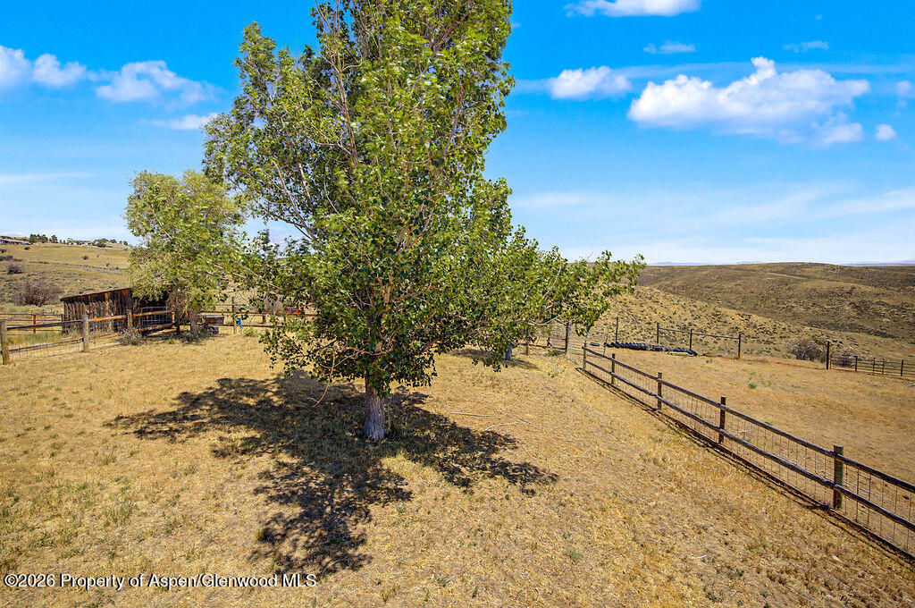620 Ponderosa Pass Property Photo 86