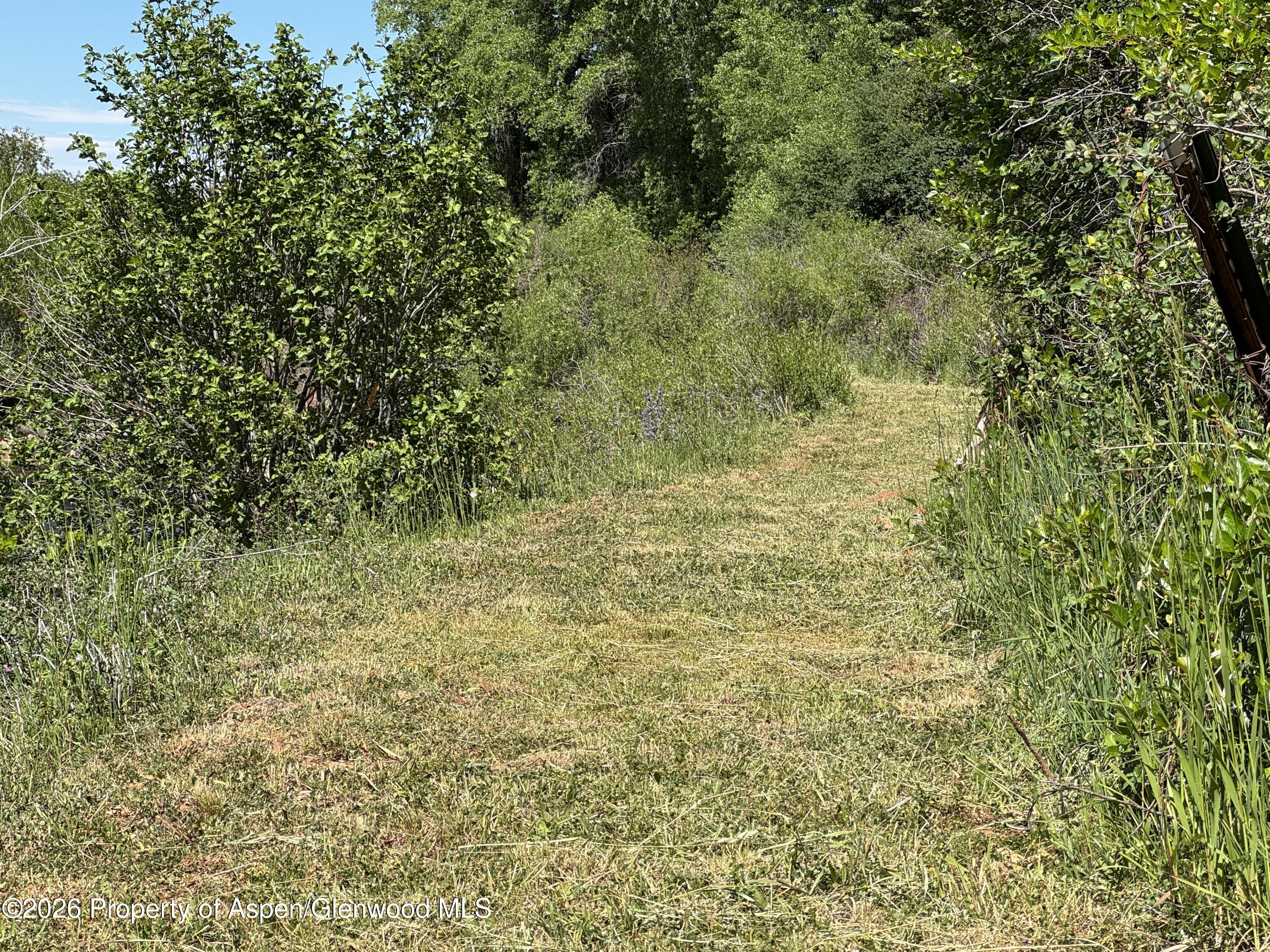 29477 County Road 8 Property Photo 21
