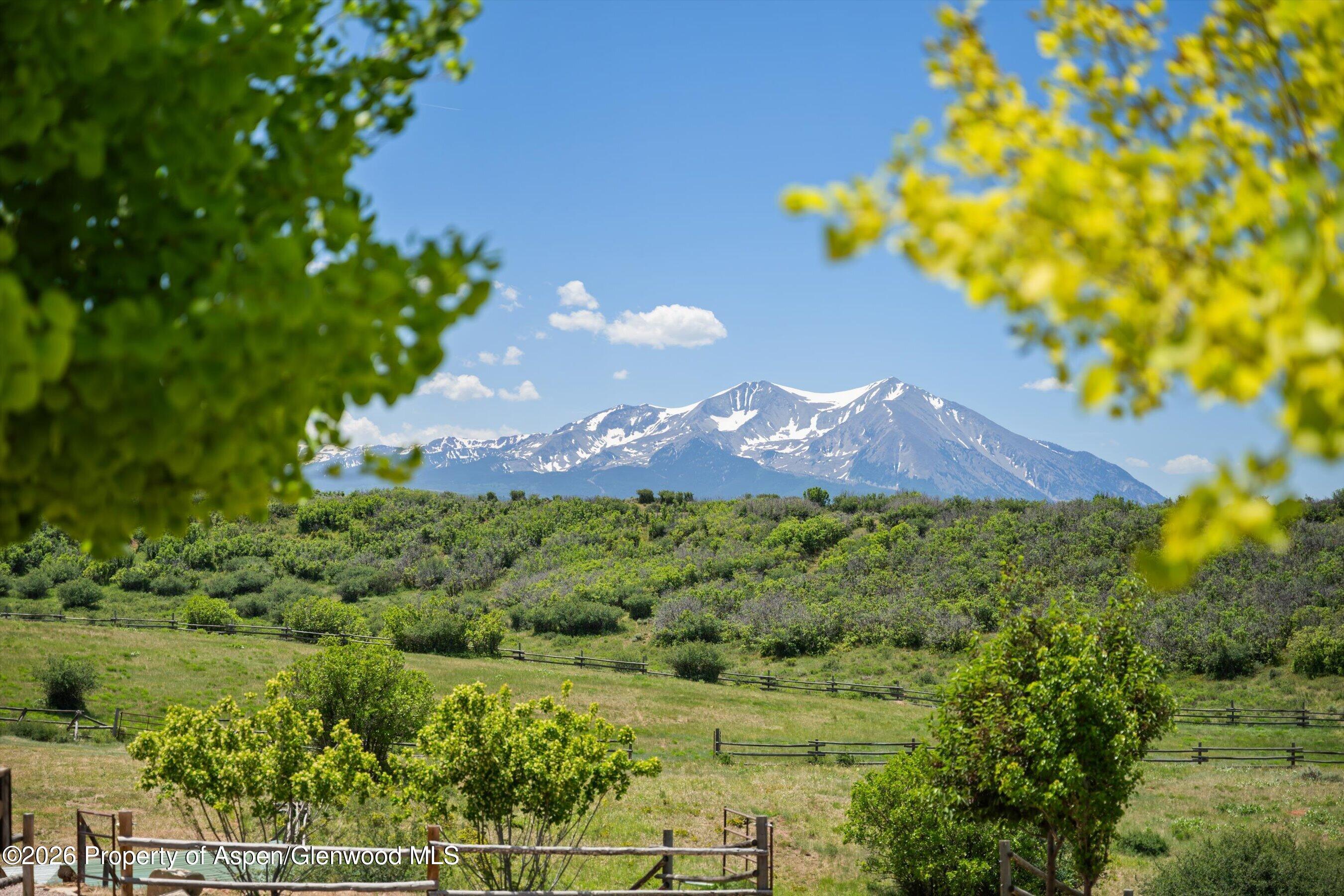 248 Basalt Mountain Drive Property Photo 1