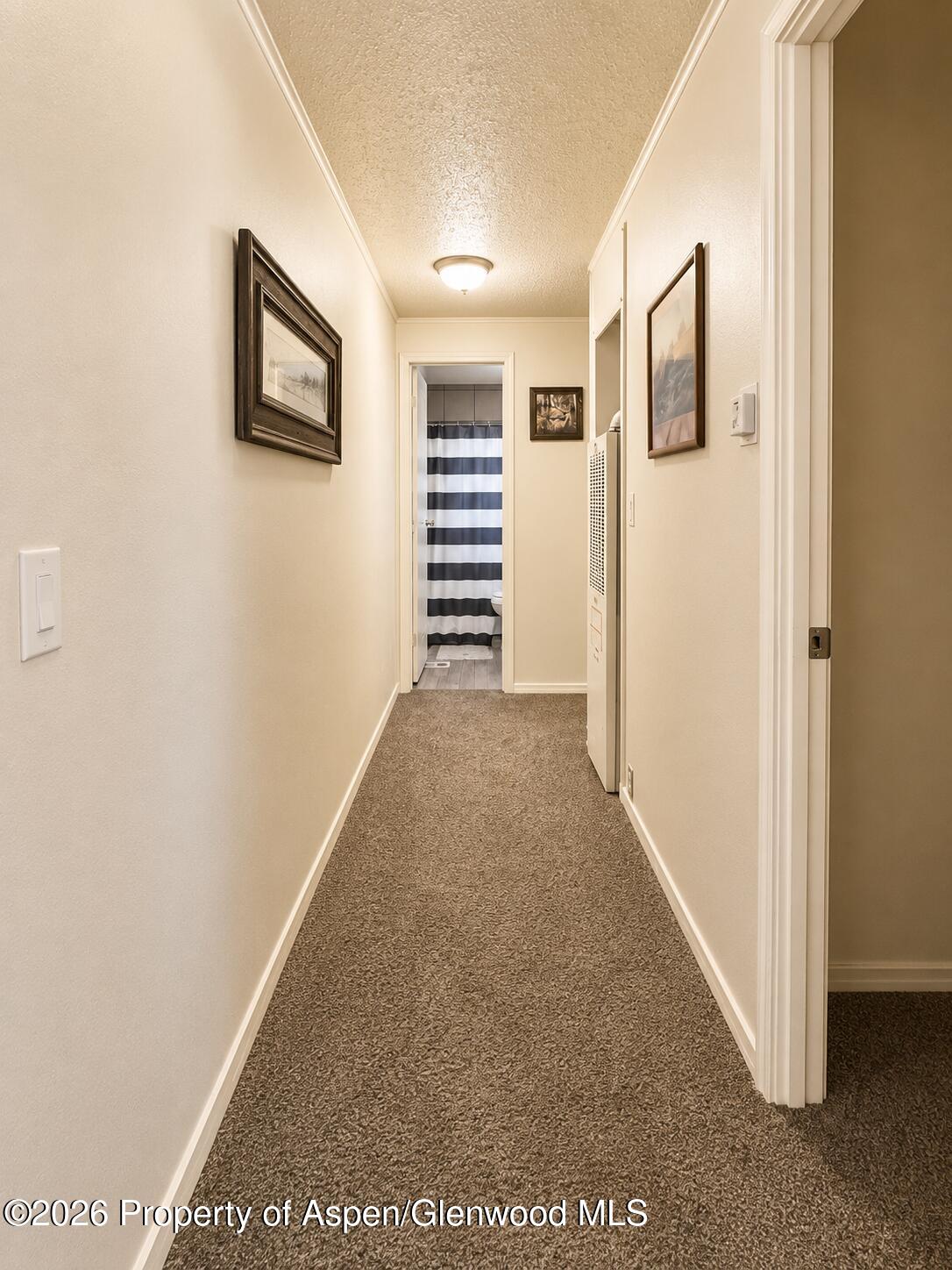 12 W Bonanza Place Property Photo 20