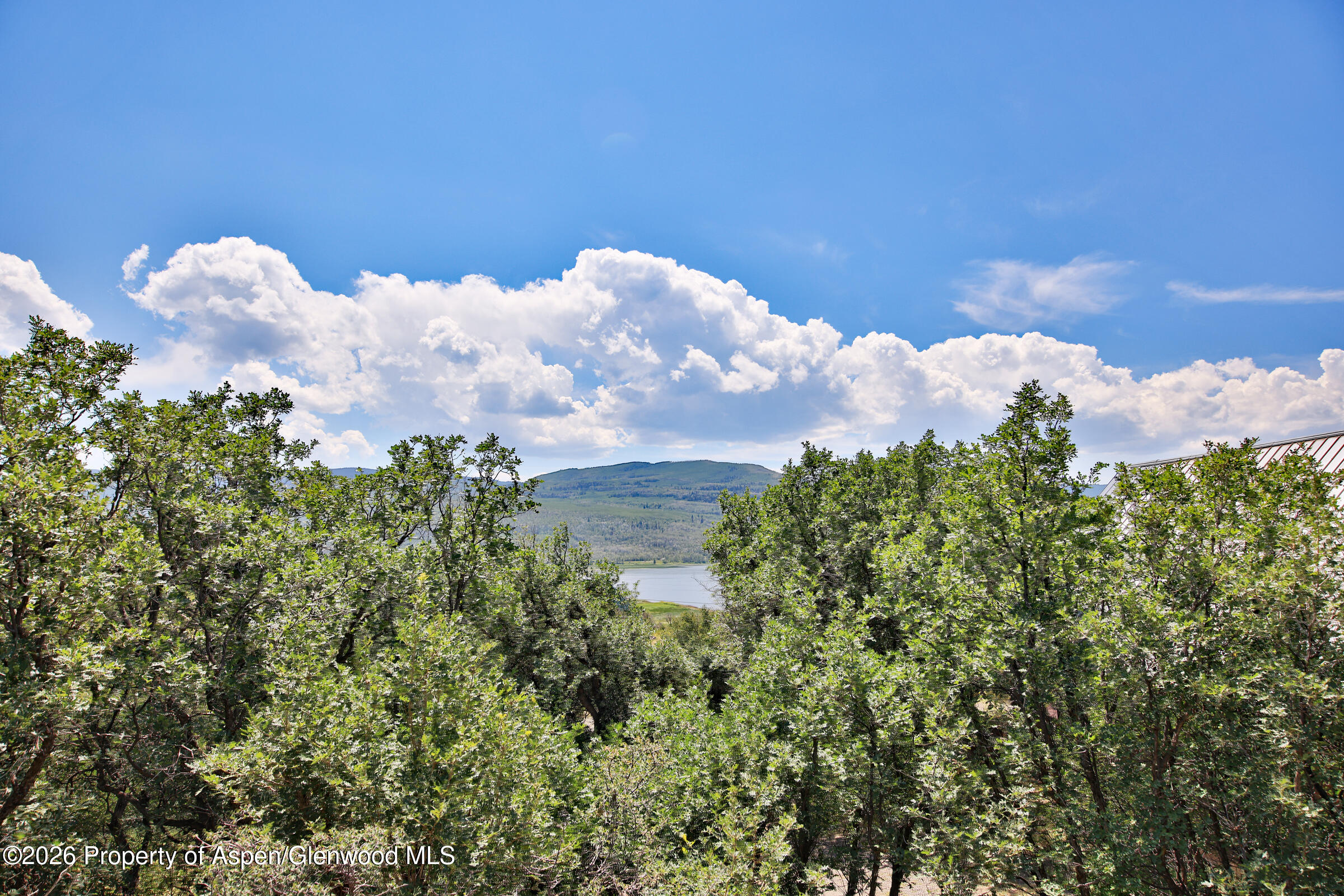 15699 Aspen Glen Lane Property Photo 25
