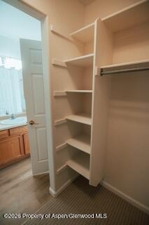 3152 E Eider Court Property Photo 22