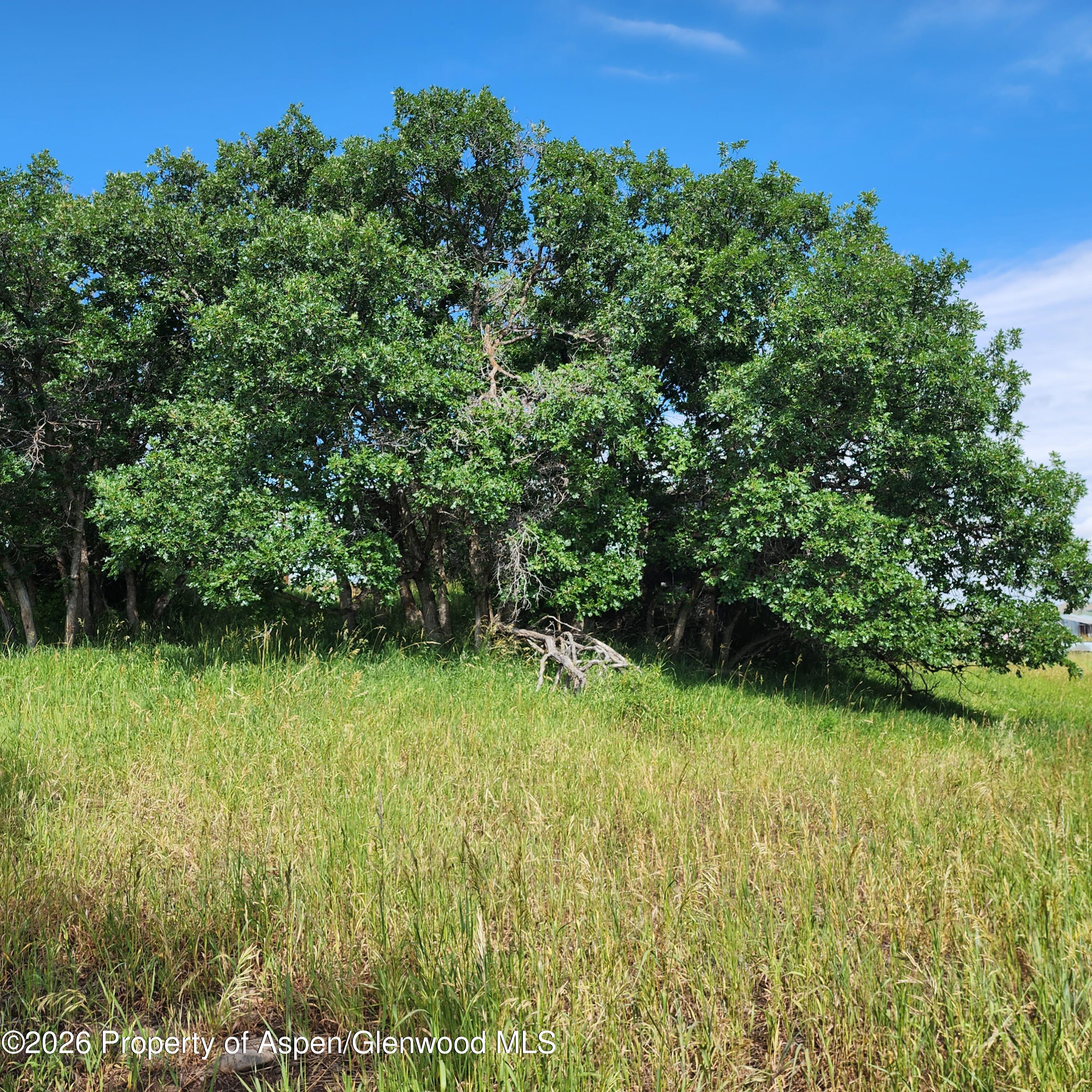 7900 County Road 41 Property Photo 10
